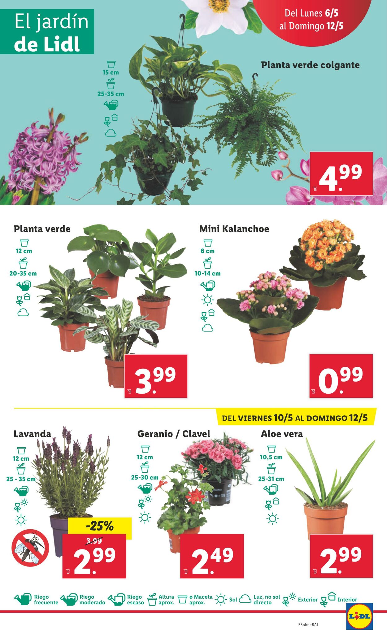 Folleto Lidl 06.05.2024 - 10.05.2024