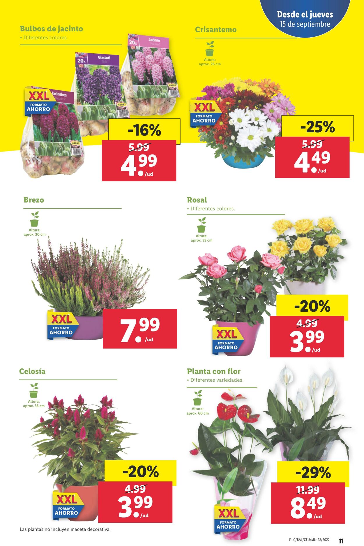 Folleto Lidl 15.09.2022 - 21.09.2022