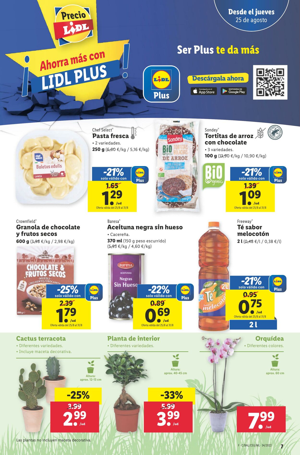 Folleto Lidl 25.08.2022 - 31.08.2022