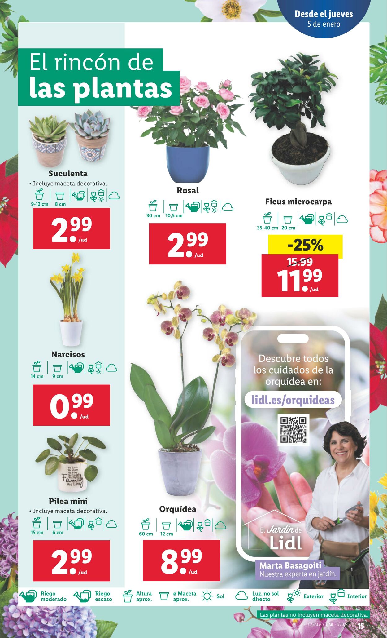 Folleto Lidl 05.01.2023 - 11.01.2023