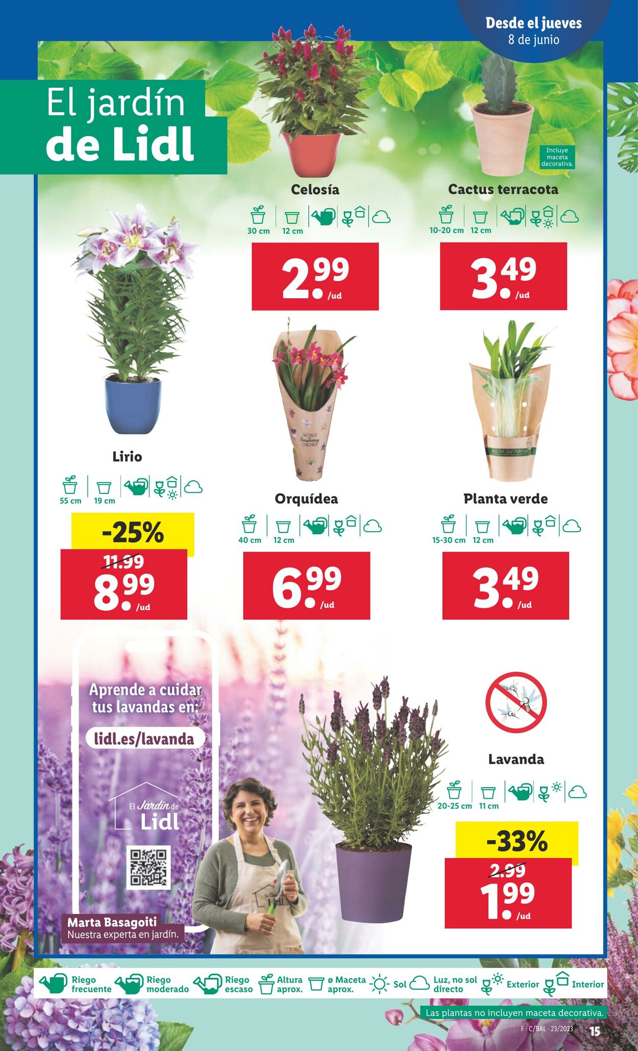 Folleto Lidl 08.06.2023 - 14.06.2023