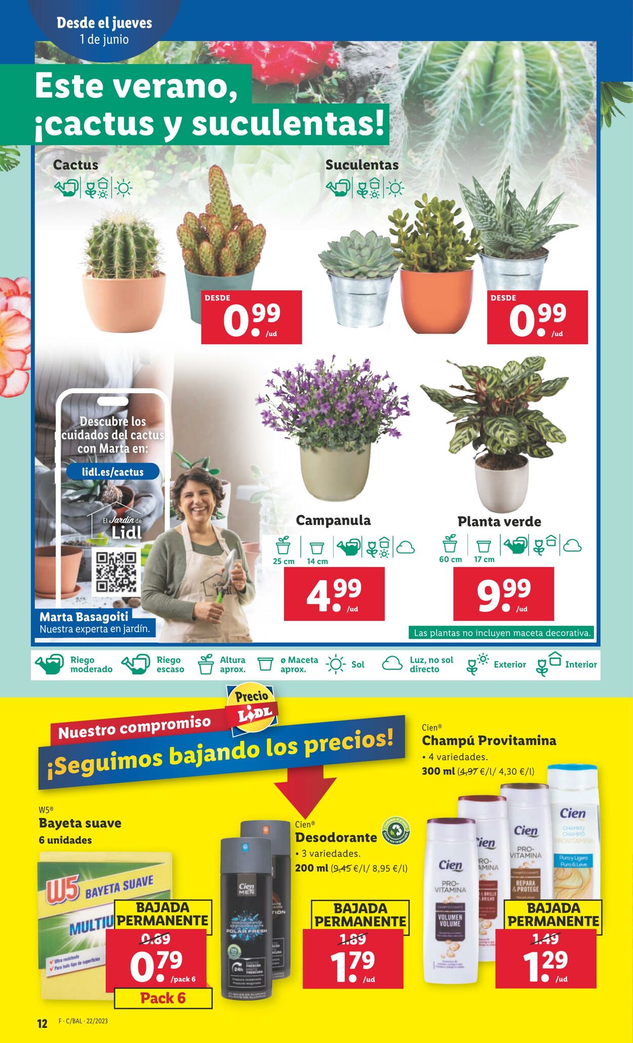 Folleto Lidl 01.06.2023 - 07.06.2023