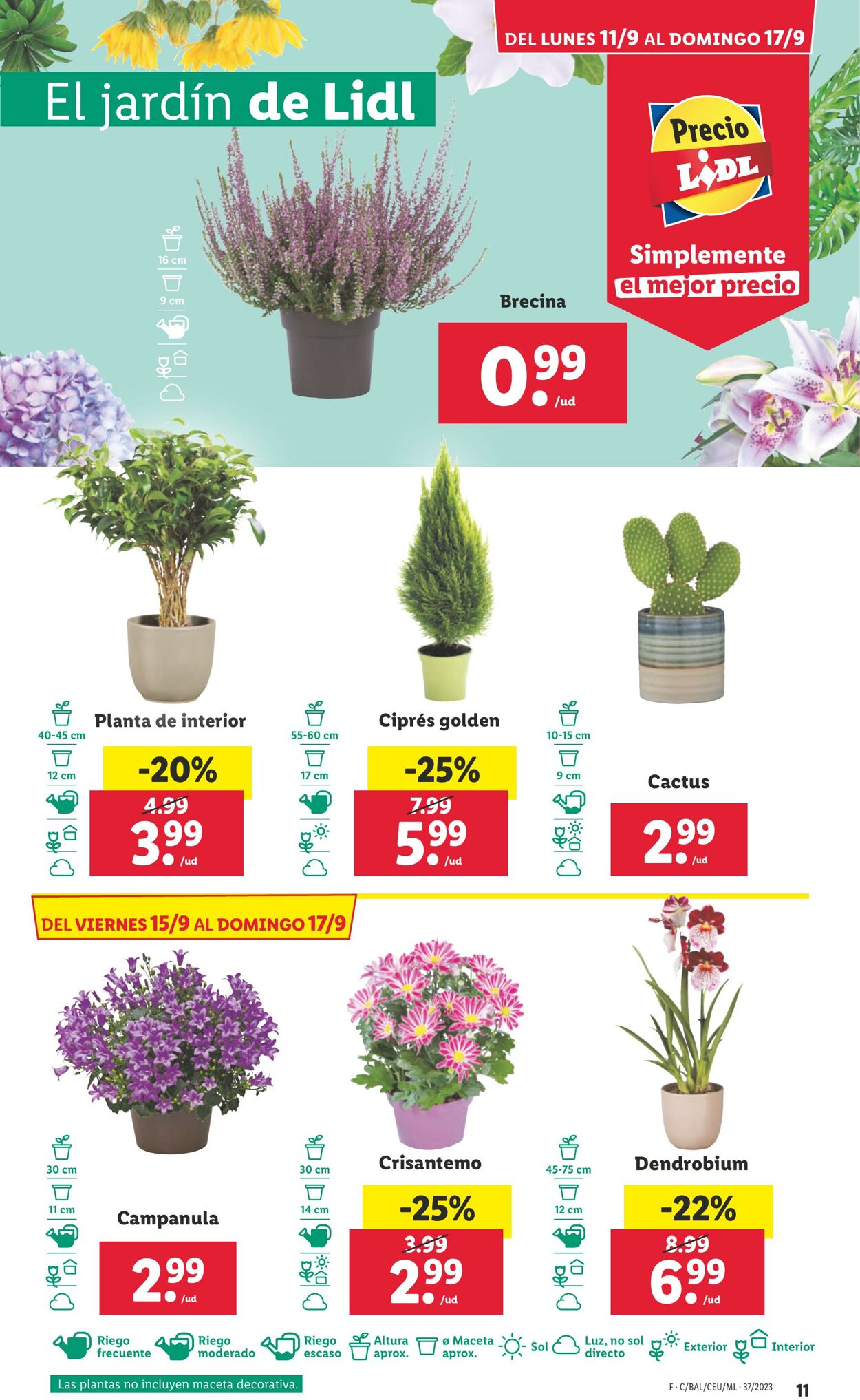 Folleto Lidl 11.09.2023 - 17.09.2023