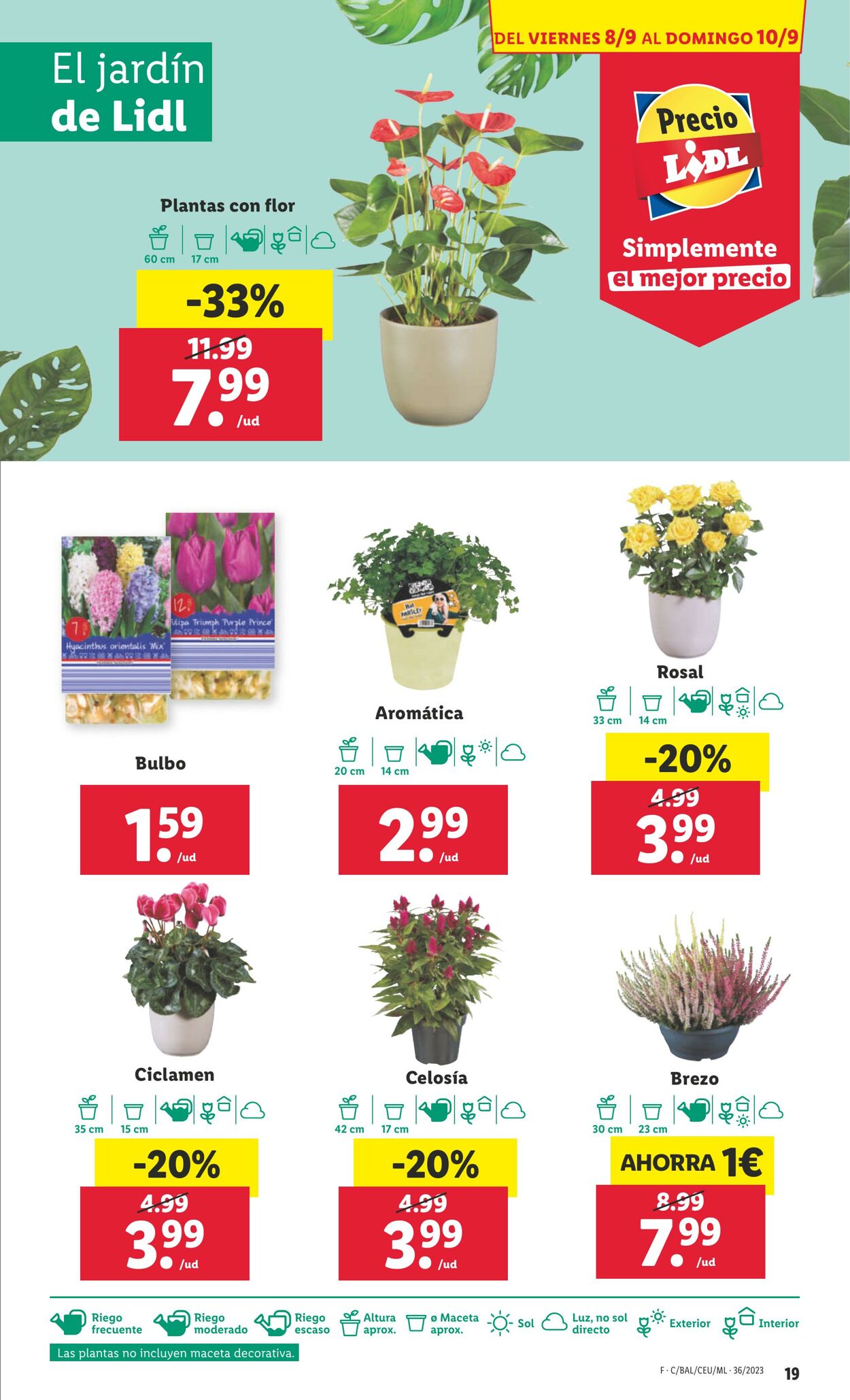 Folleto Lidl 04.09.2023 - 10.09.2023