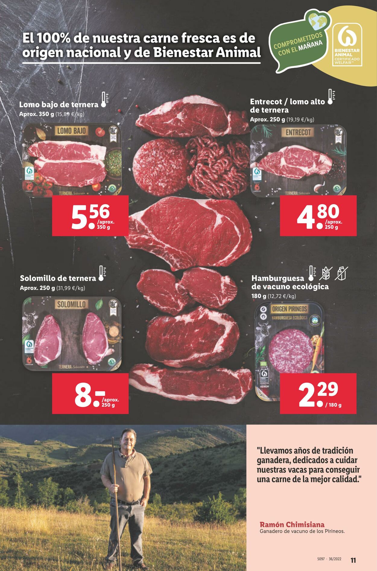 Folleto Lidl 08.09.2022 - 16.09.2022