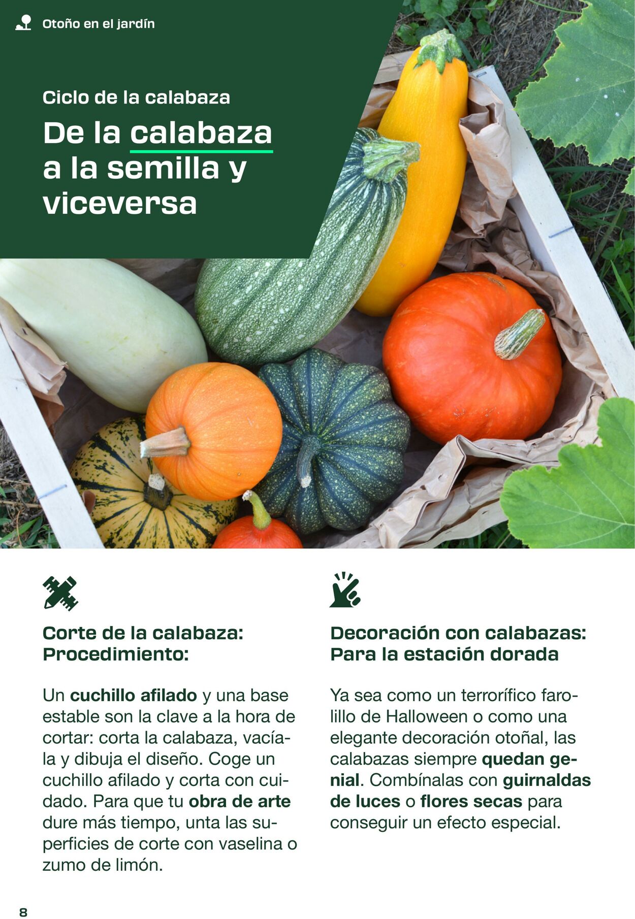 Folleto Lidl 01.09.2025 - 23.11.2025