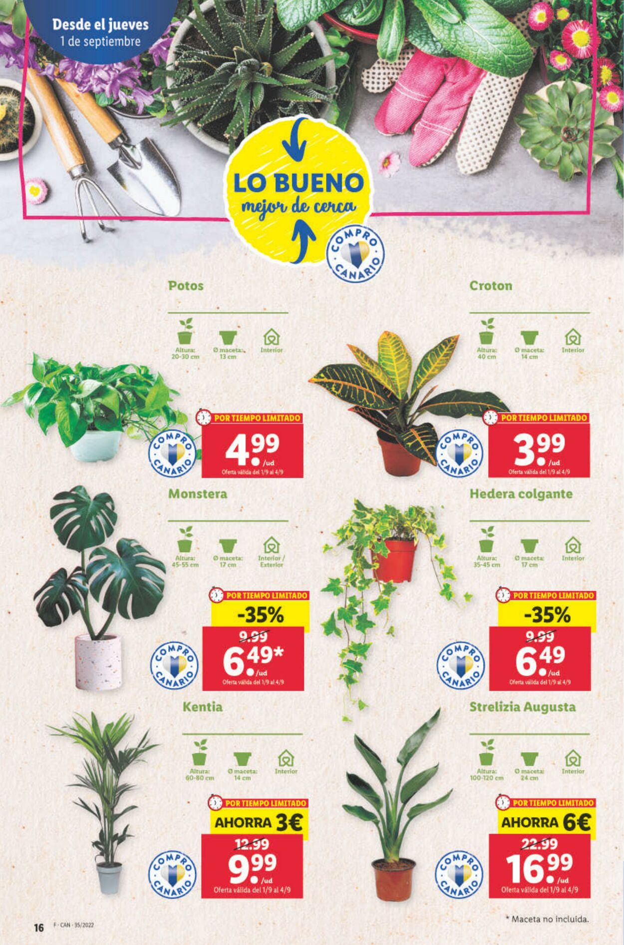 Folleto Lidl 01.09.2022 - 07.09.2022