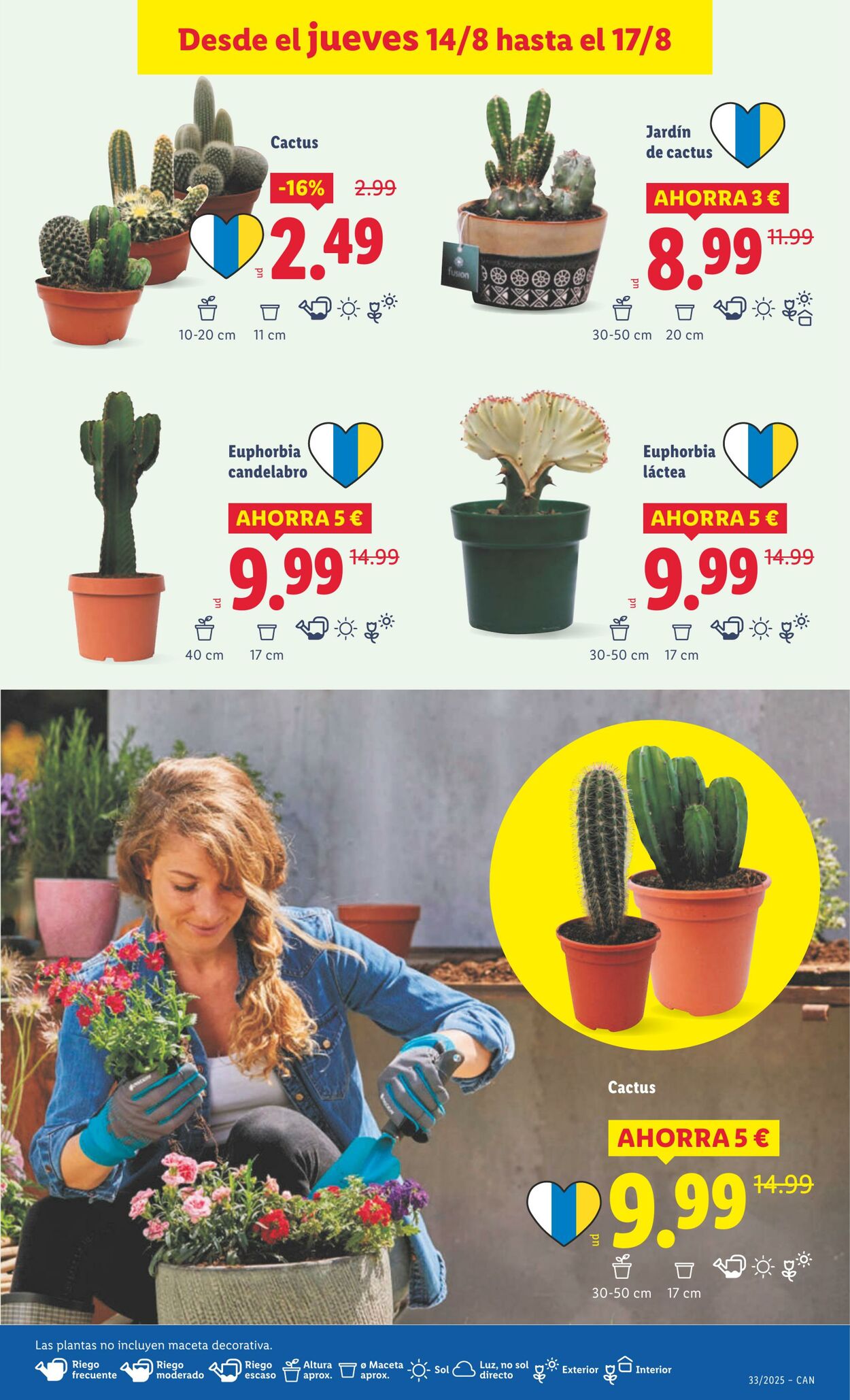 Folleto Lidl 11.08.2025 - 17.08.2025