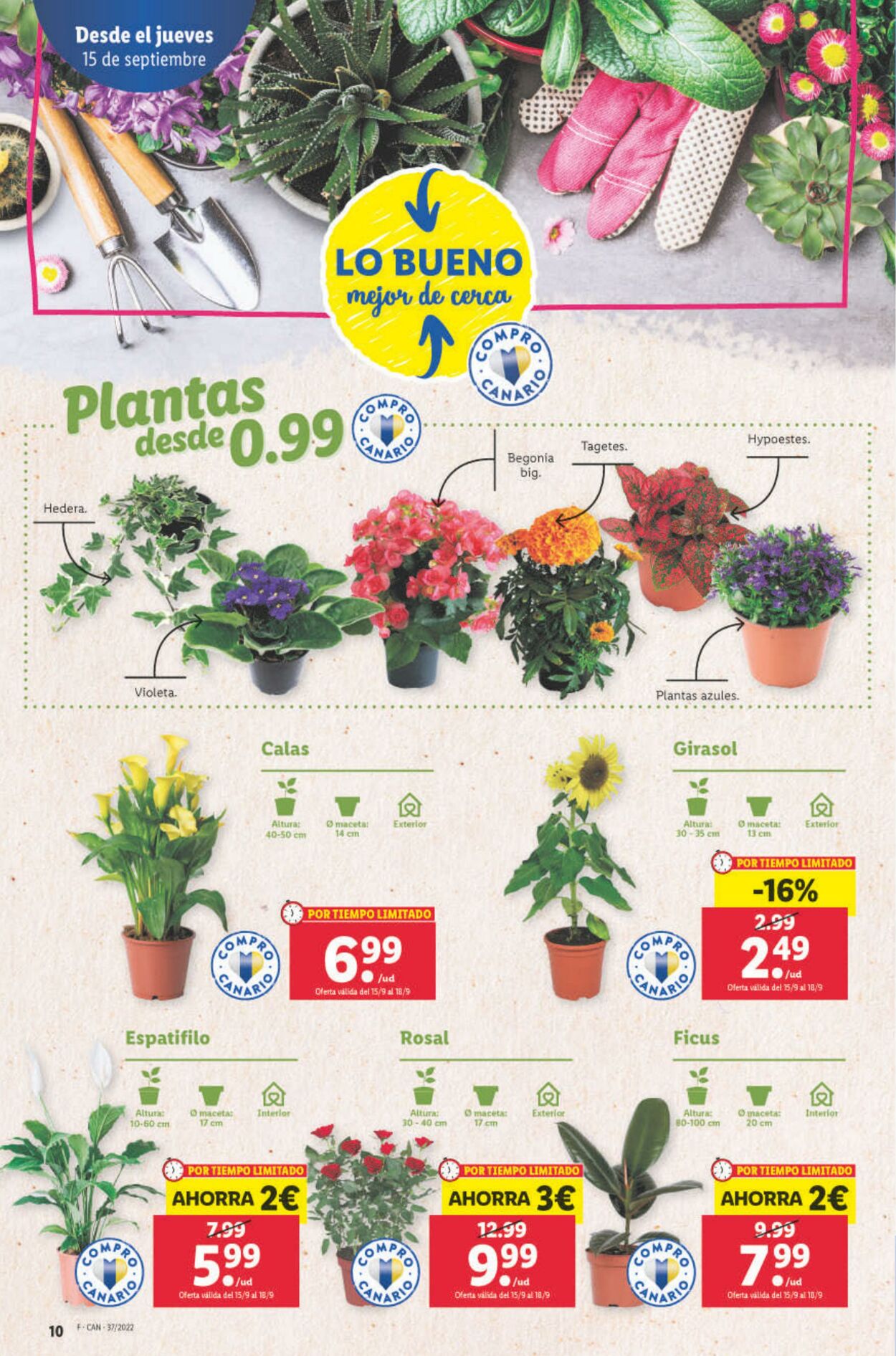 Folleto Lidl 15.09.2022 - 21.09.2022