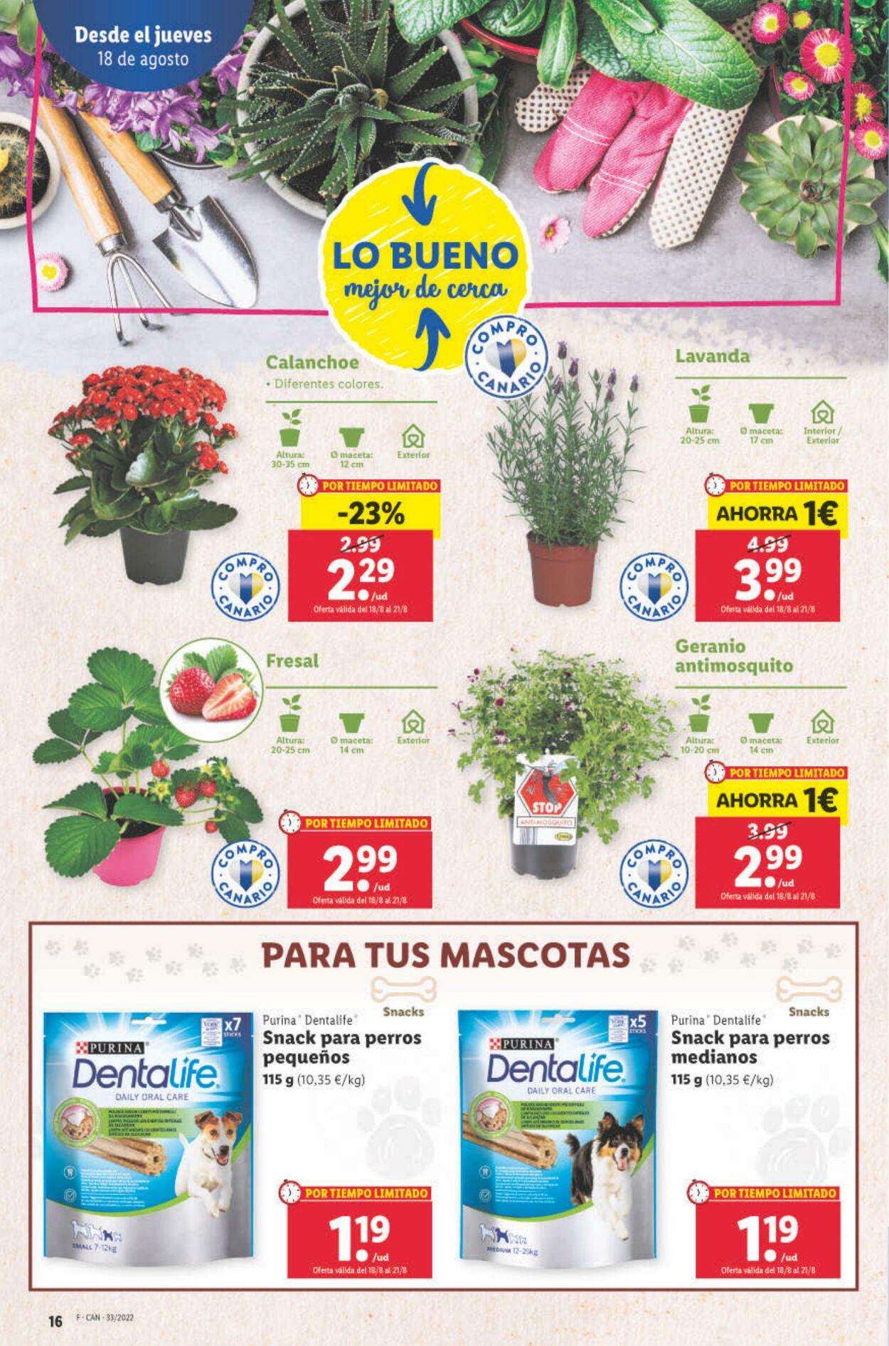 Folleto Lidl 18.08.2022 - 24.08.2022