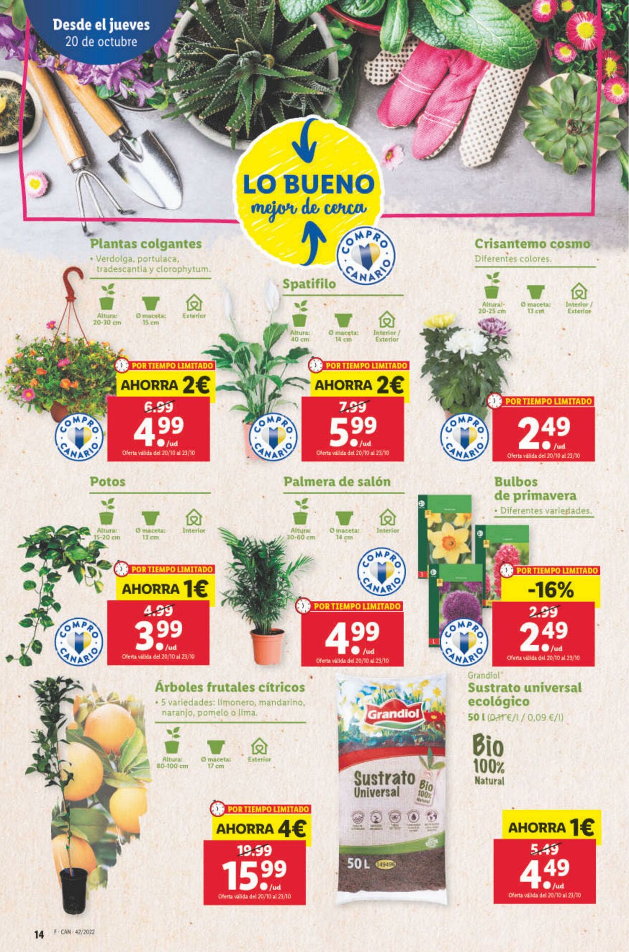 Folleto Lidl 20.10.2022 - 26.10.2022