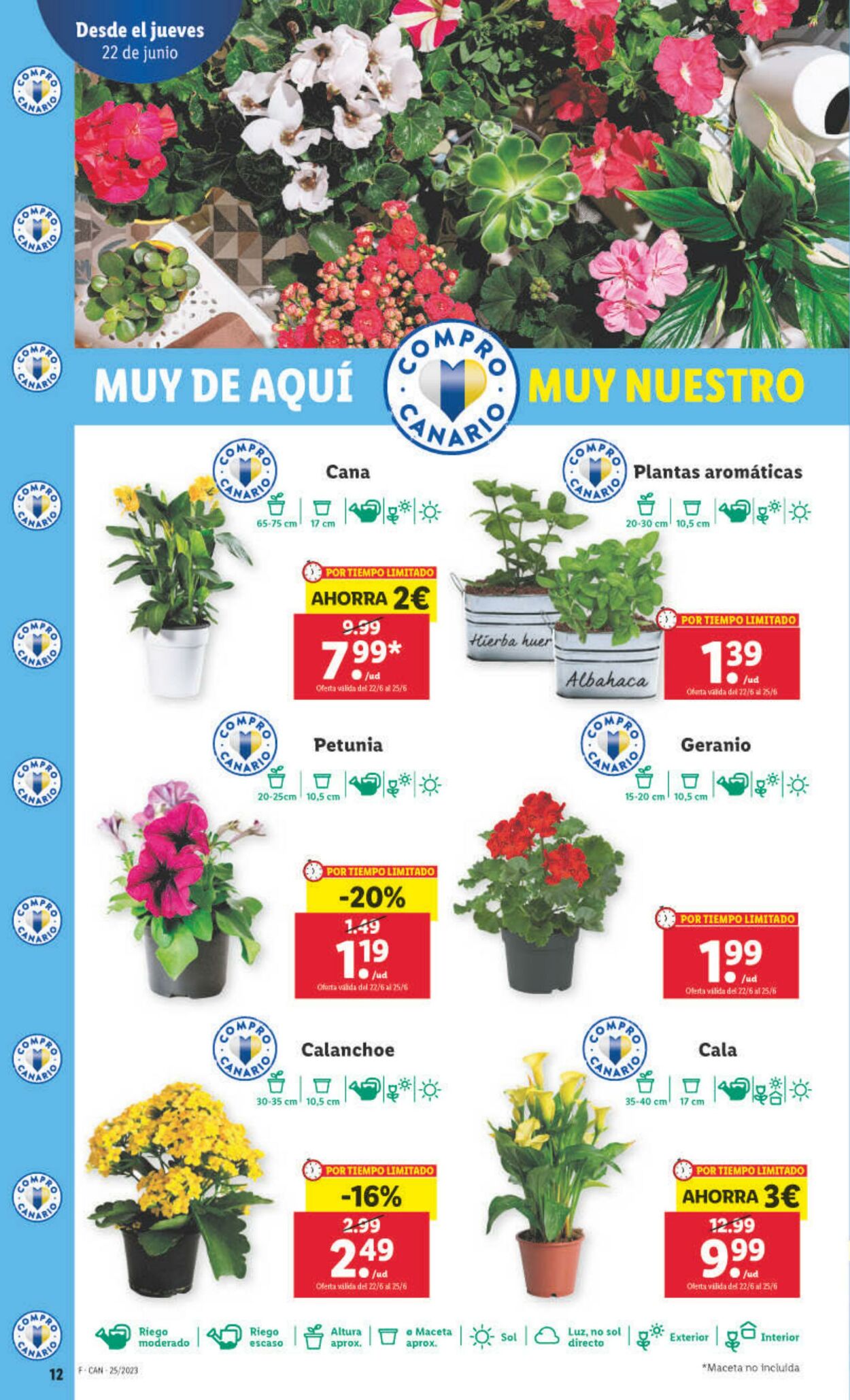 Folleto Lidl 22.06.2023 - 28.06.2023