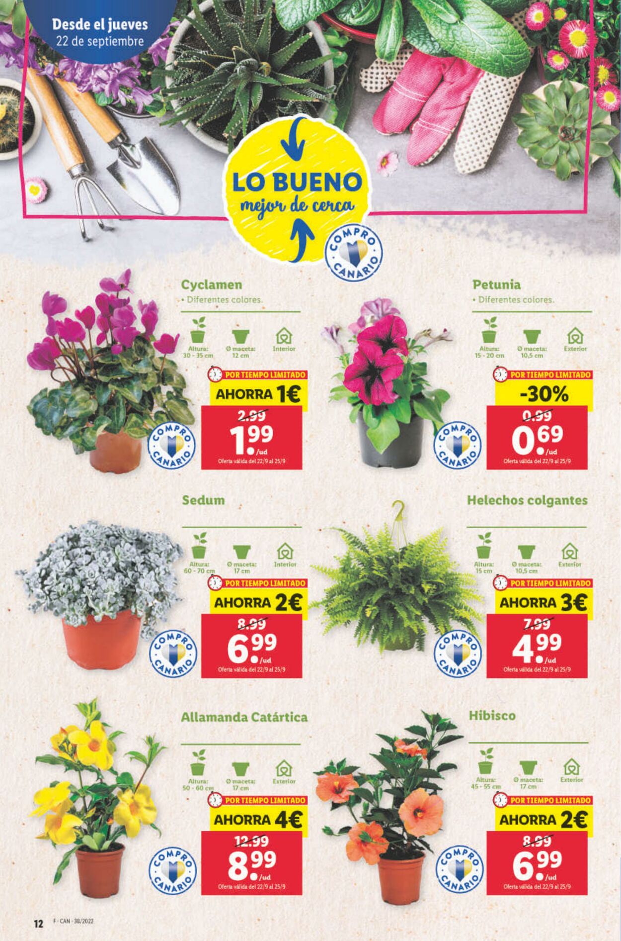 Folleto Lidl 22.09.2022 - 28.09.2022