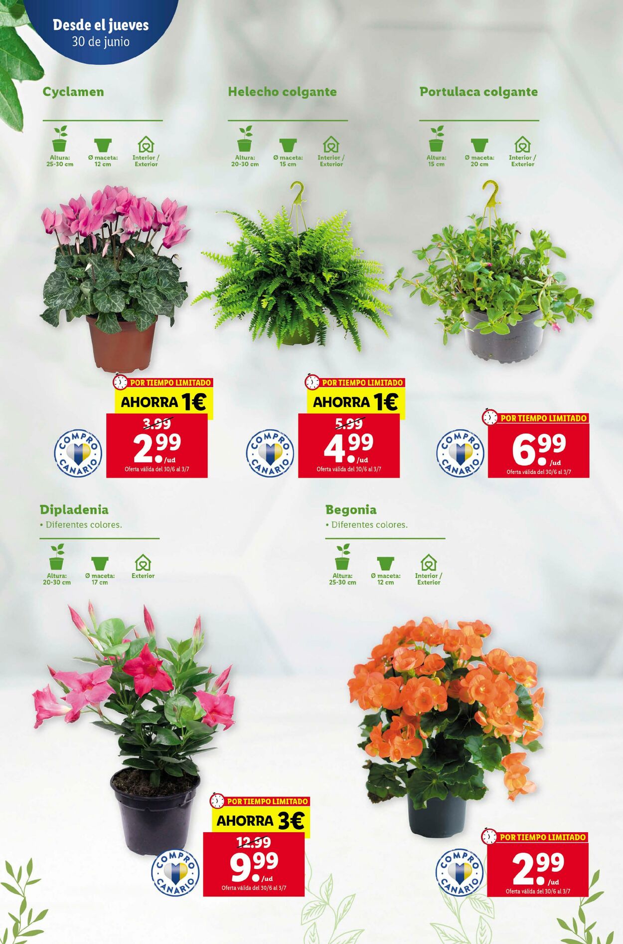 Folleto Lidl 30.06.2022 - 06.07.2022