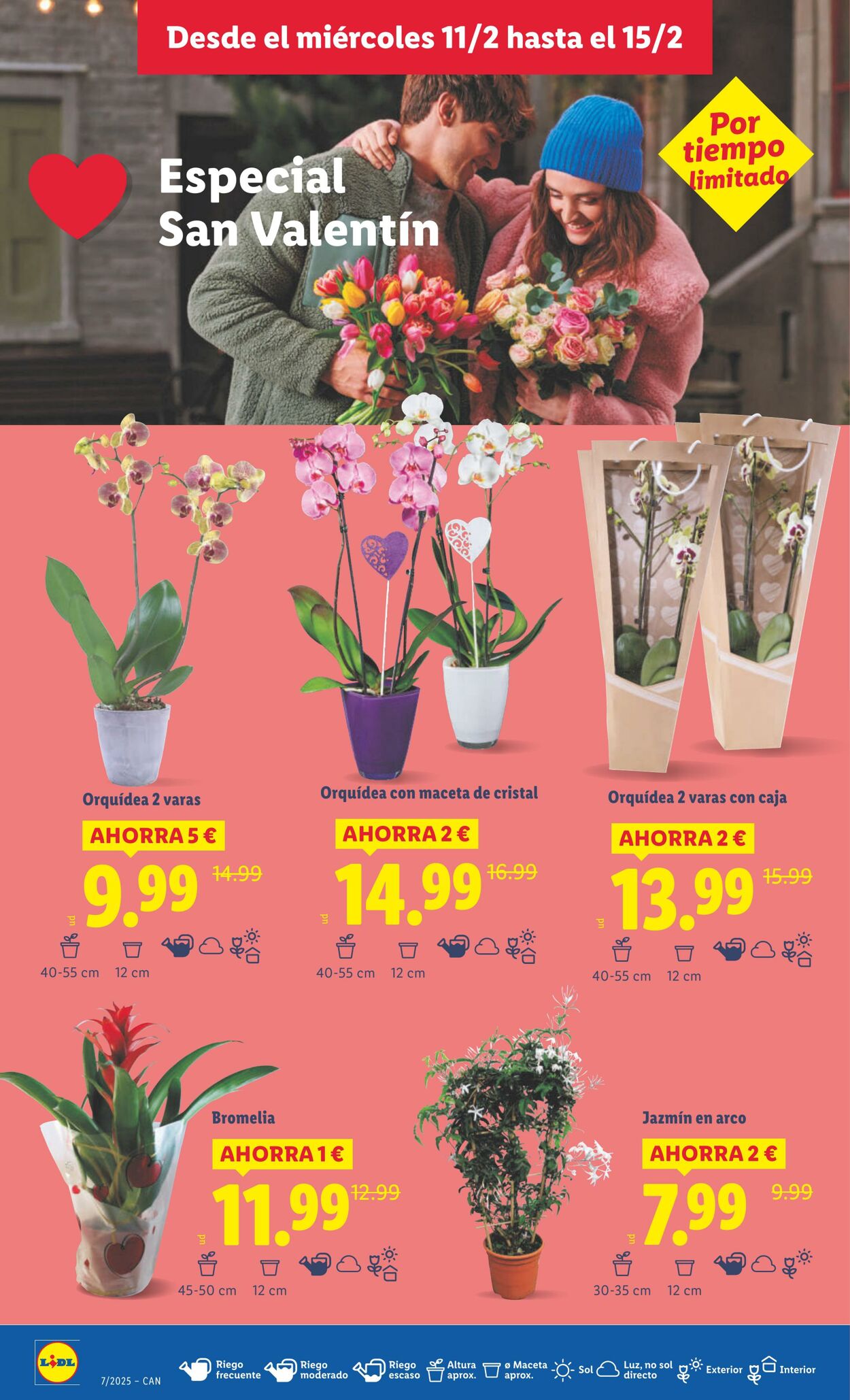 Folleto Lidl 09.02.2026 - 15.02.2026
