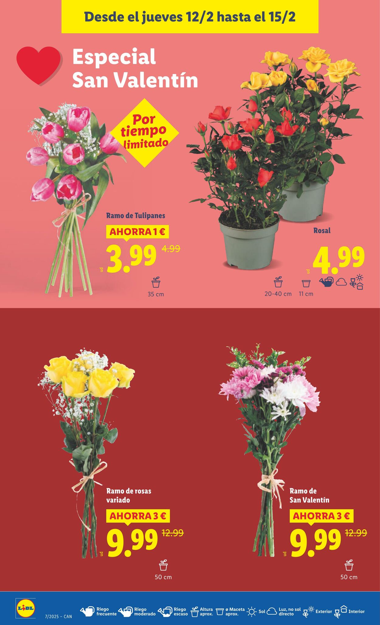 Folleto Lidl 09.02.2026 - 15.02.2026
