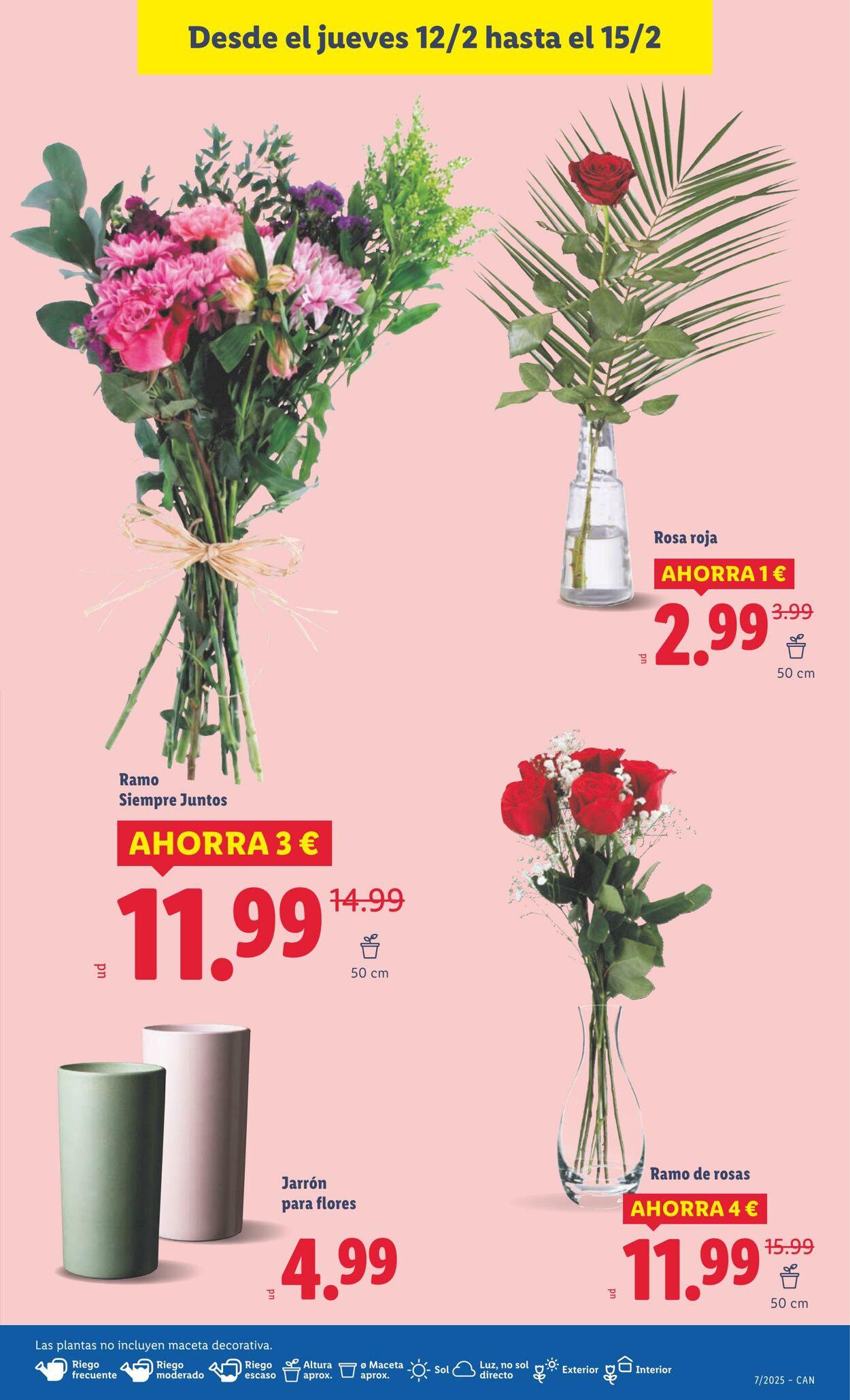 Folleto Lidl 09.02.2026 - 15.02.2026