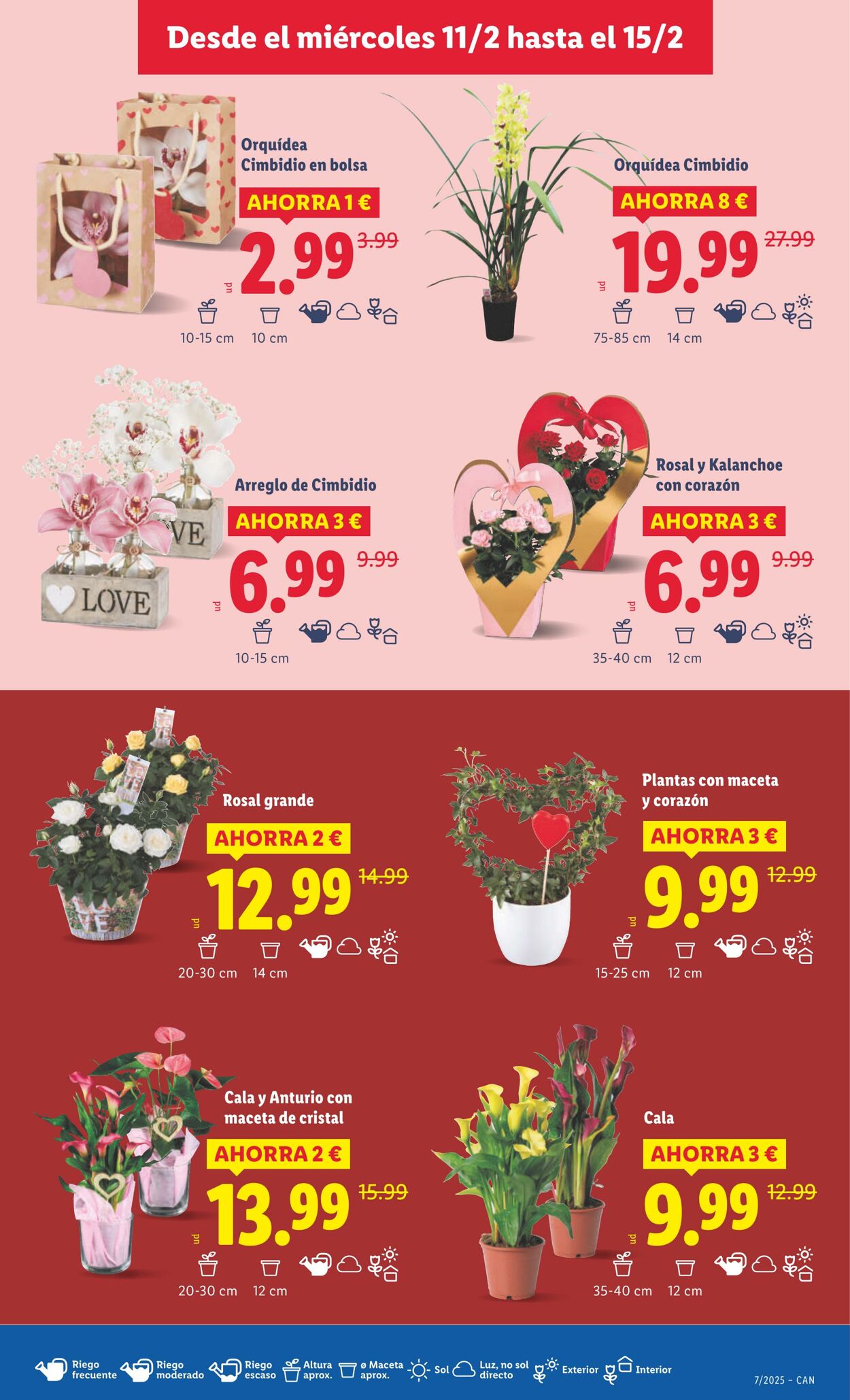 Folleto Lidl 09.02.2026 - 15.02.2026