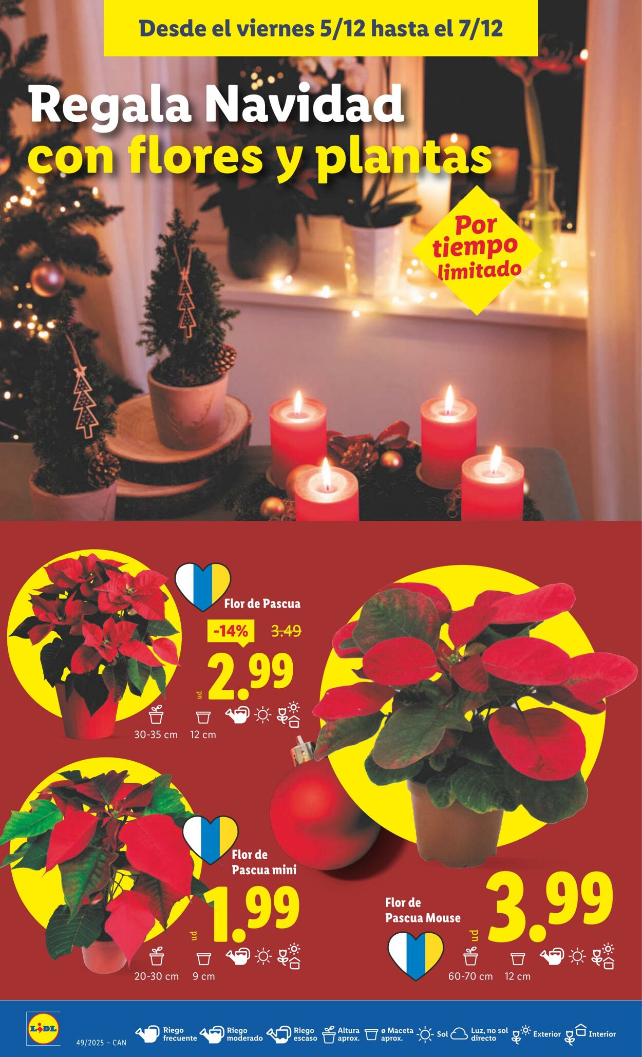 Folleto Lidl 01.12.2025 - 07.12.2025