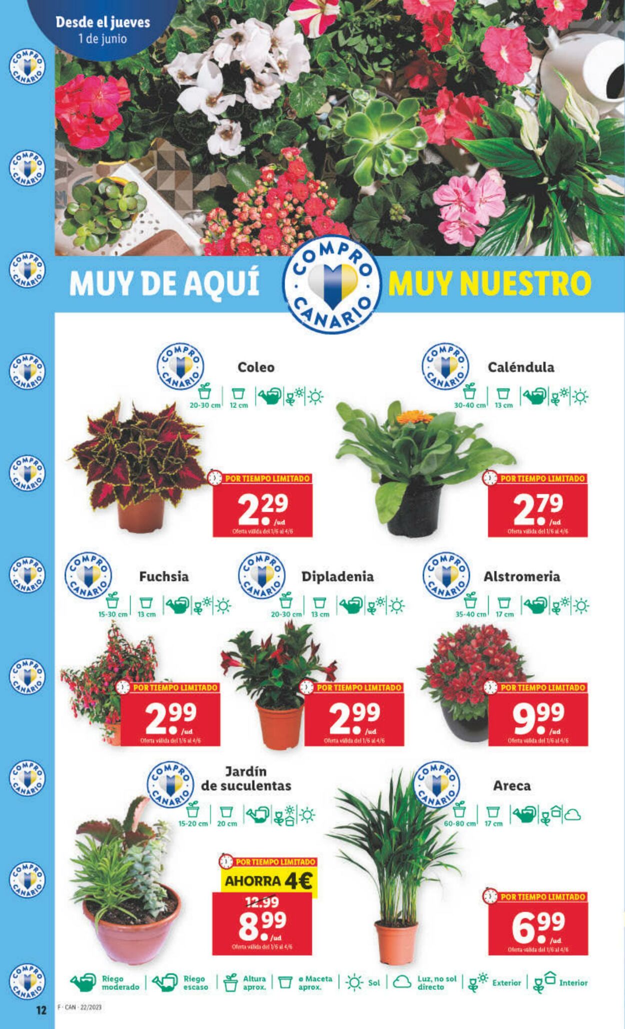 Folleto Lidl 01.06.2023 - 07.06.2023