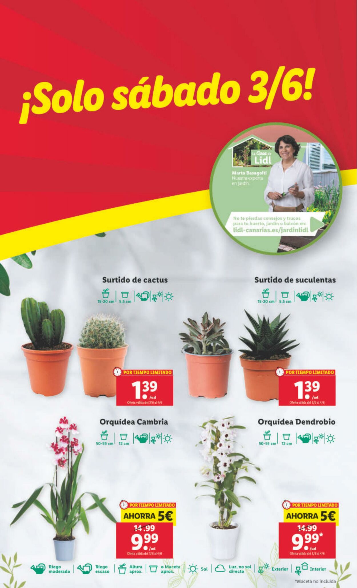 Folleto Lidl 01.06.2023 - 07.06.2023