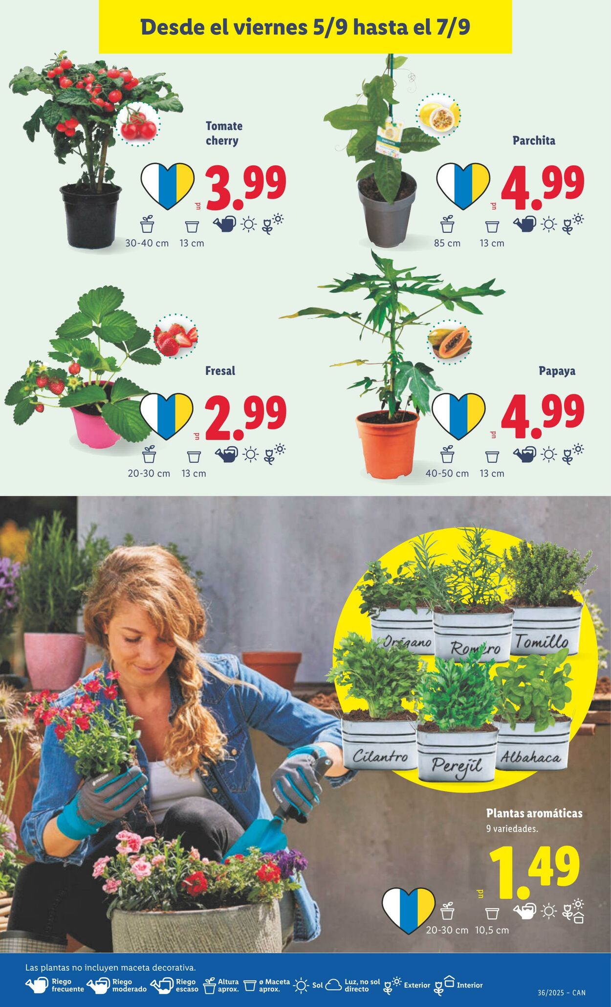 Folleto Lidl 01.09.2025 - 07.09.2025