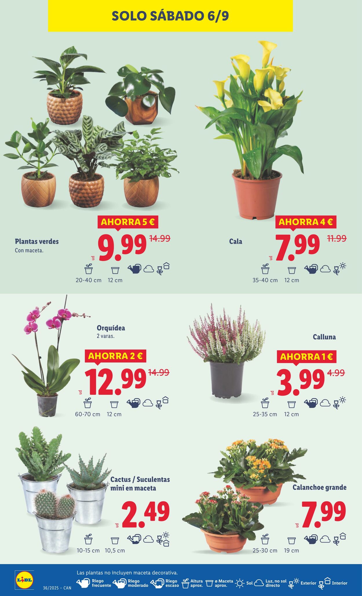 Folleto Lidl 01.09.2025 - 07.09.2025
