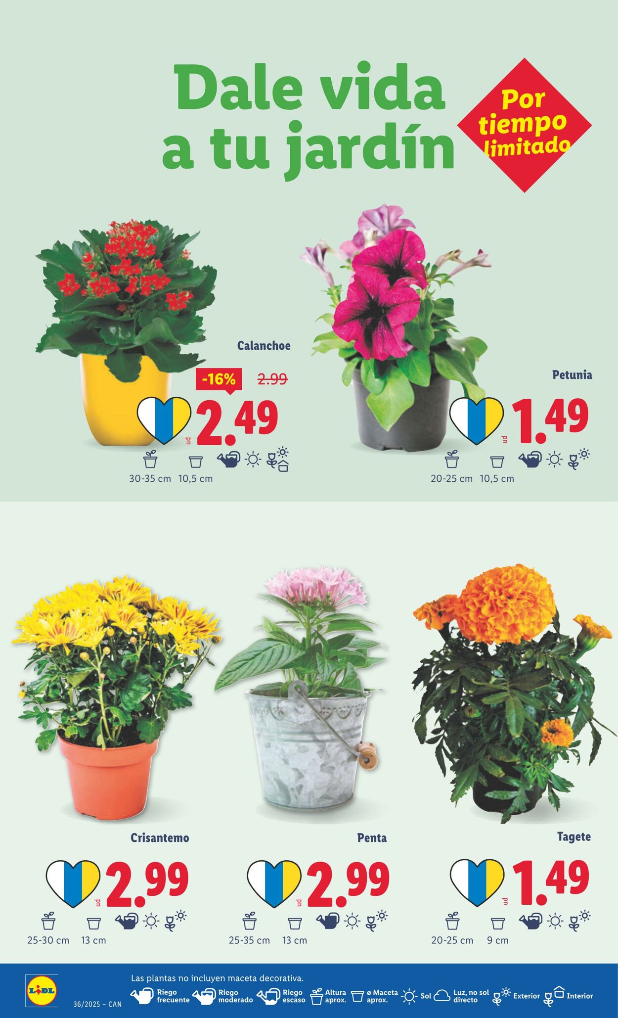 Folleto Lidl 01.09.2025 - 07.09.2025