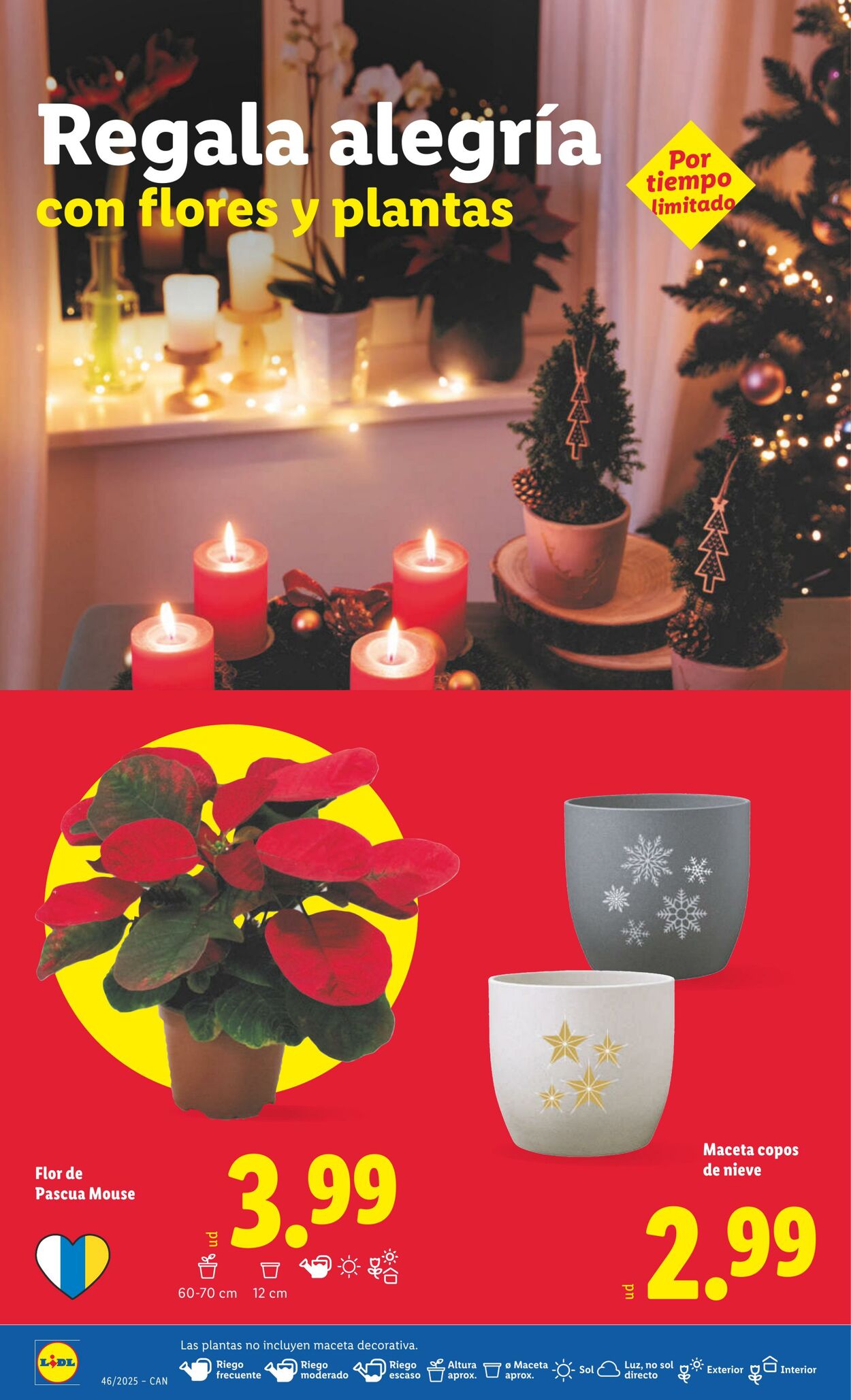 Folleto Lidl 10.11.2025 - 16.11.2025