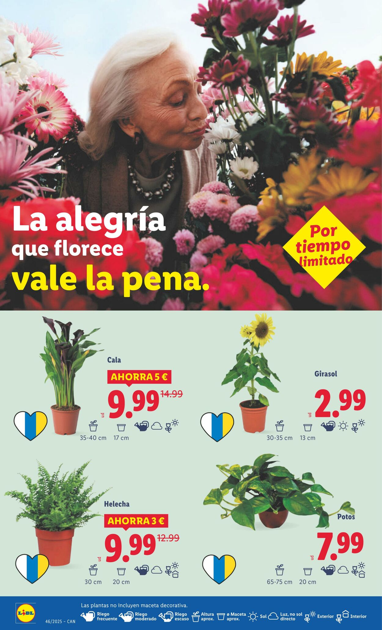 Folleto Lidl 10.11.2025 - 16.11.2025