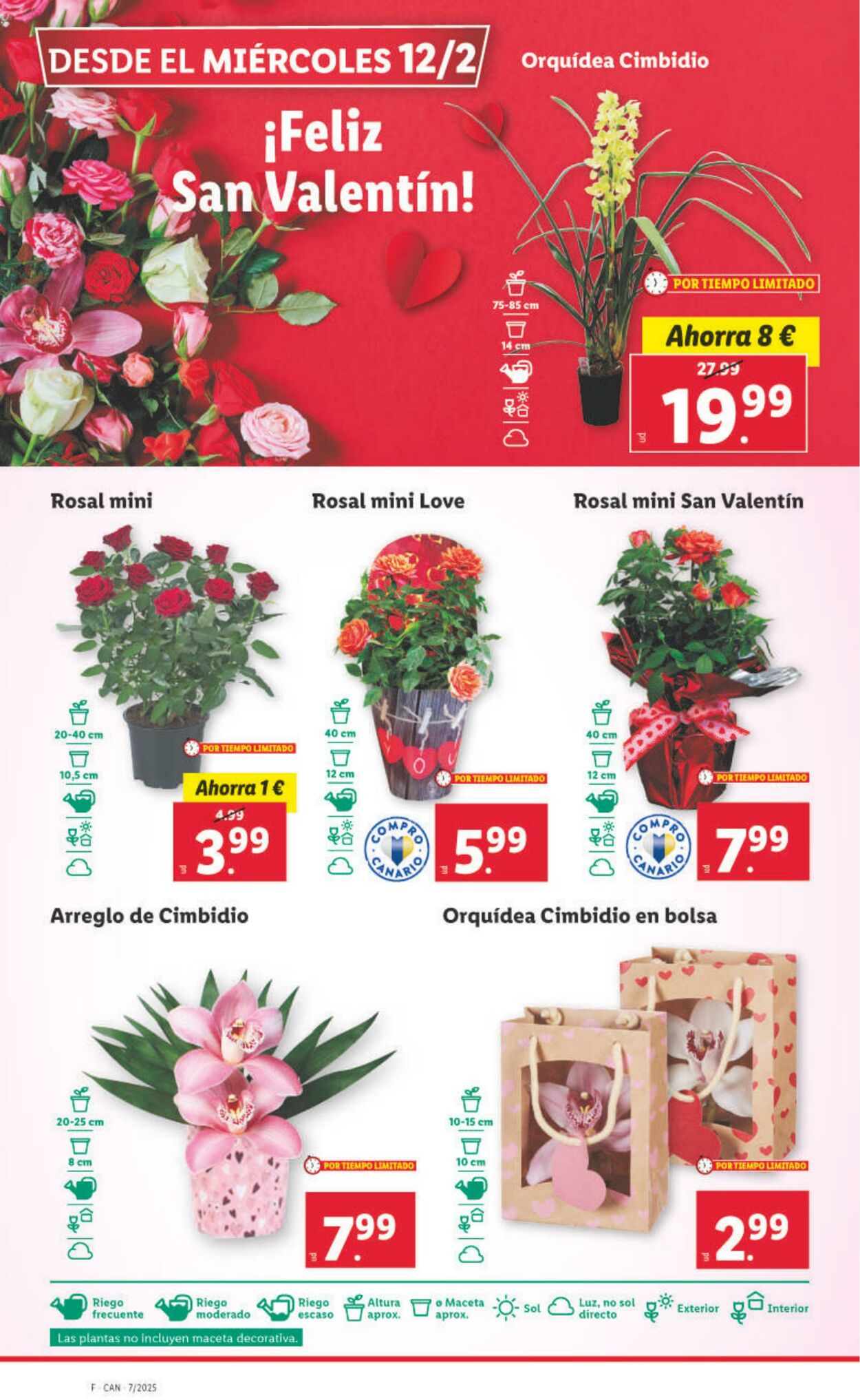 Folleto Lidl 10.02.2025 - 16.02.2025