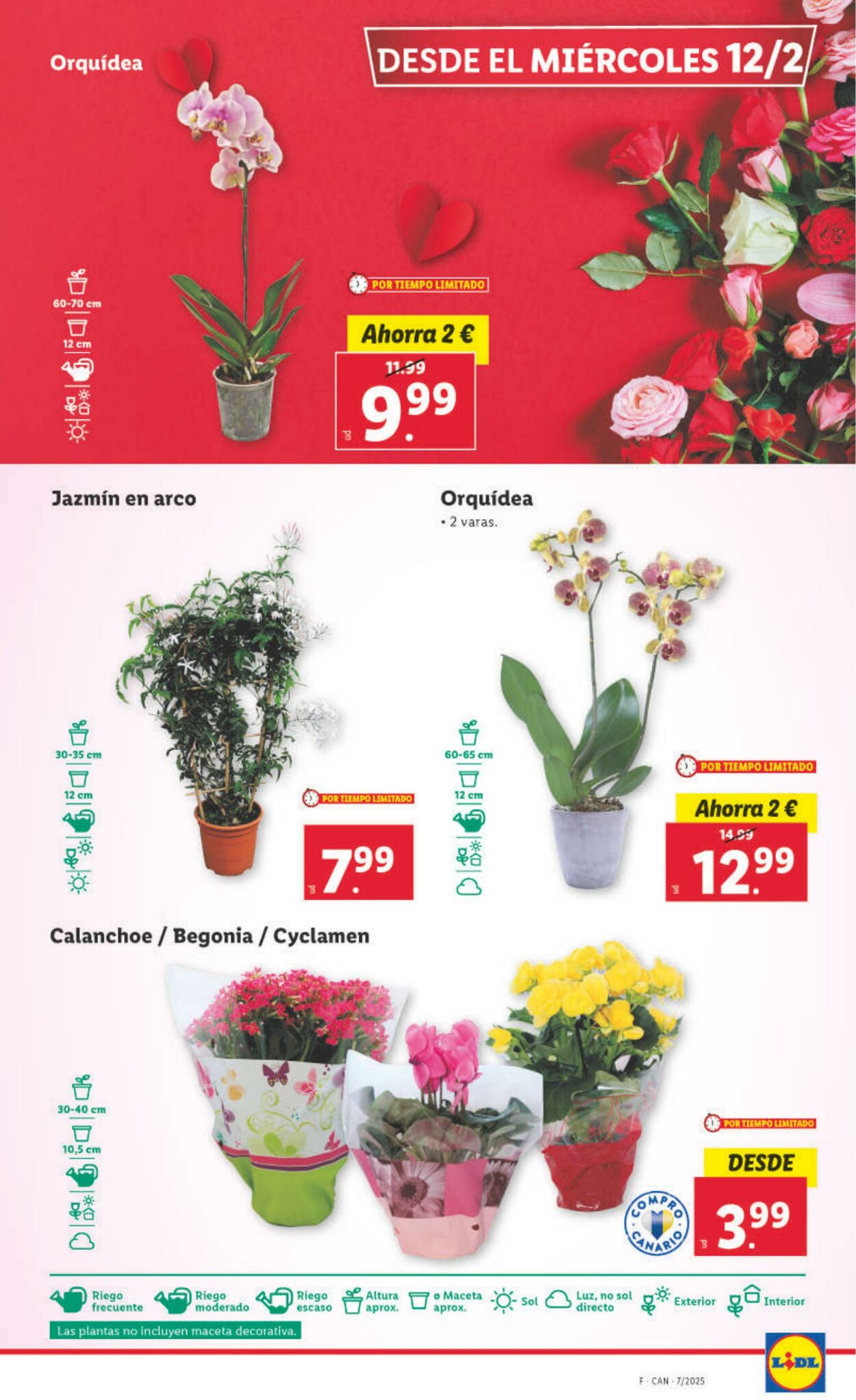 Folleto Lidl 10.02.2025 - 16.02.2025