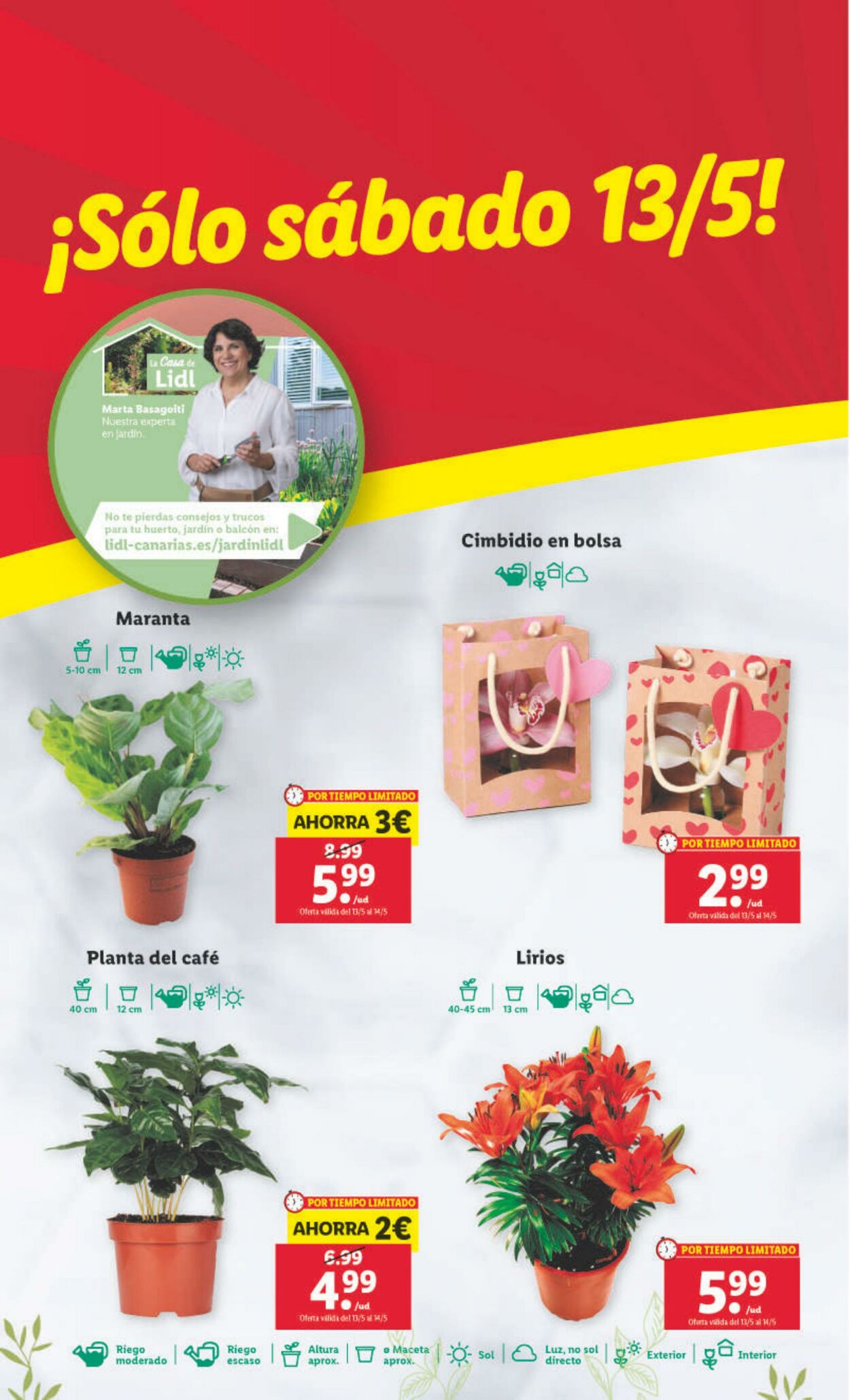 Folleto Lidl 11.05.2023 - 17.05.2023