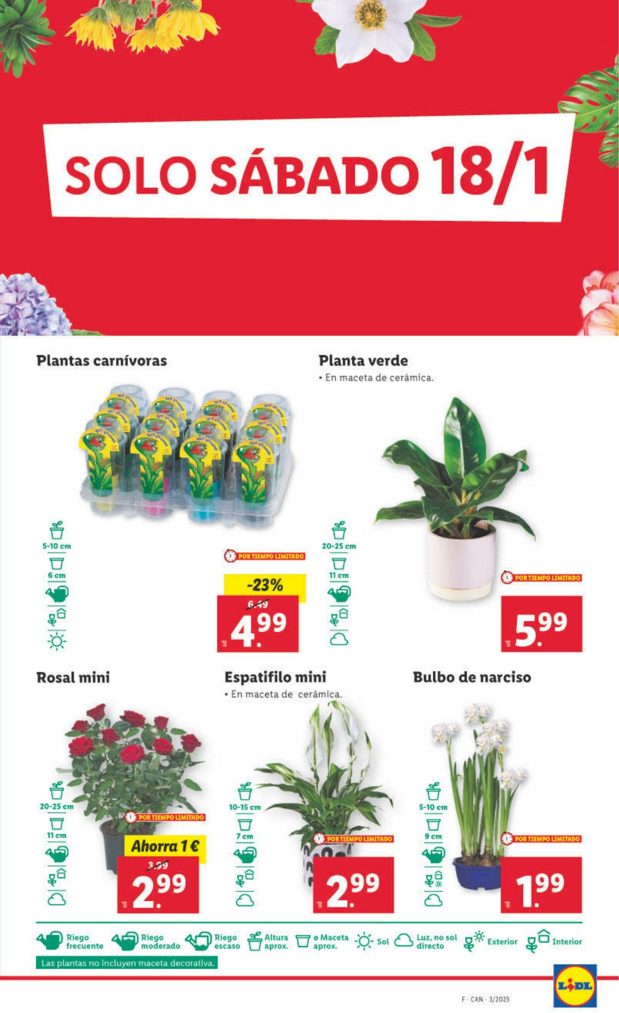 Folleto Lidl 13.01.2025 - 19.01.2025