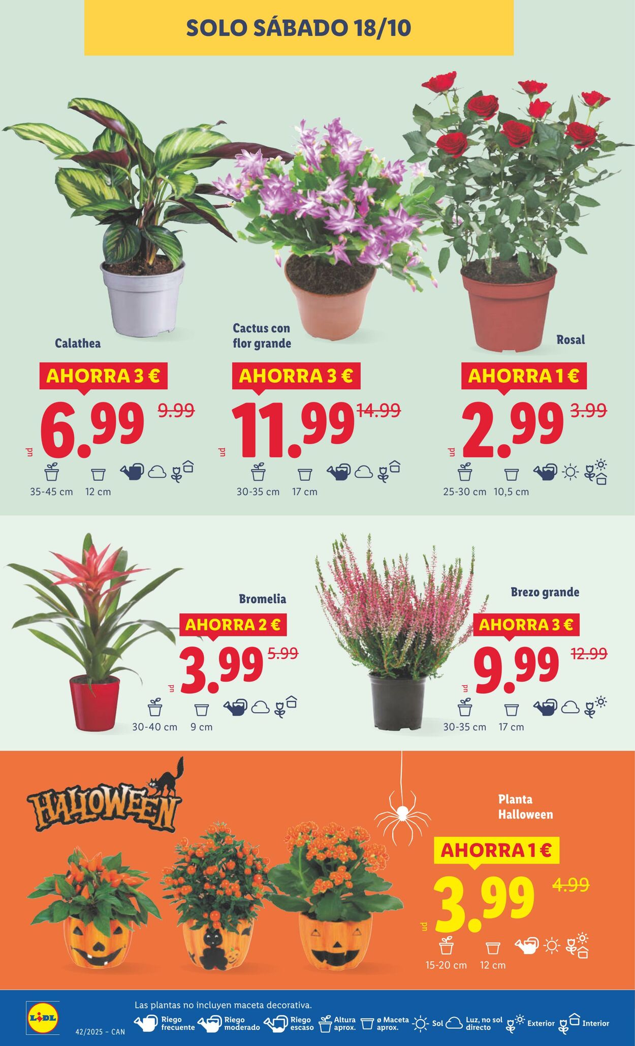 Folleto Lidl 13.10.2025 - 19.10.2025