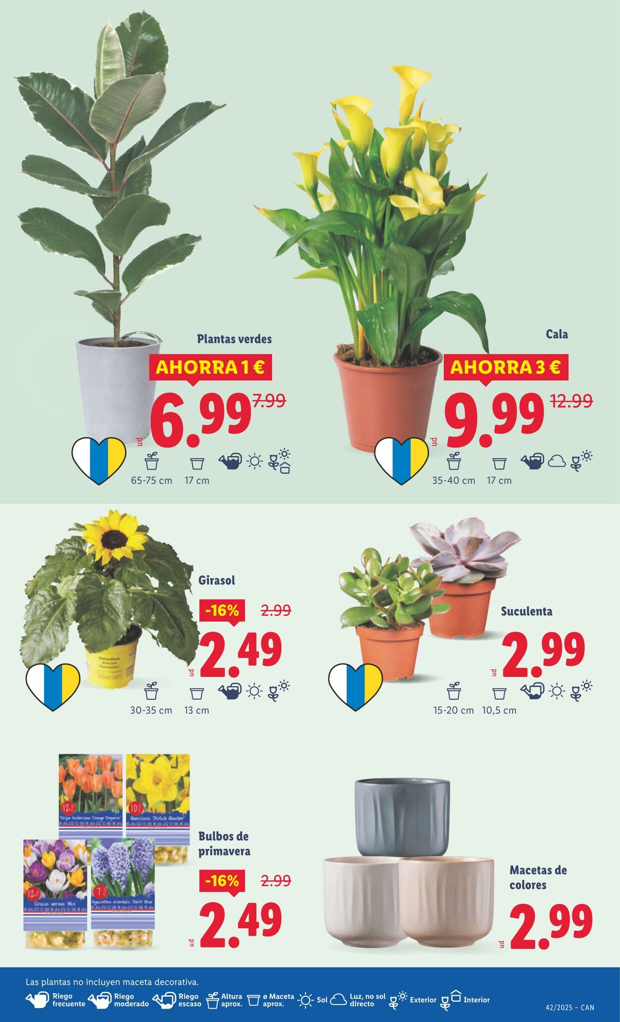Folleto Lidl 13.10.2025 - 19.10.2025
