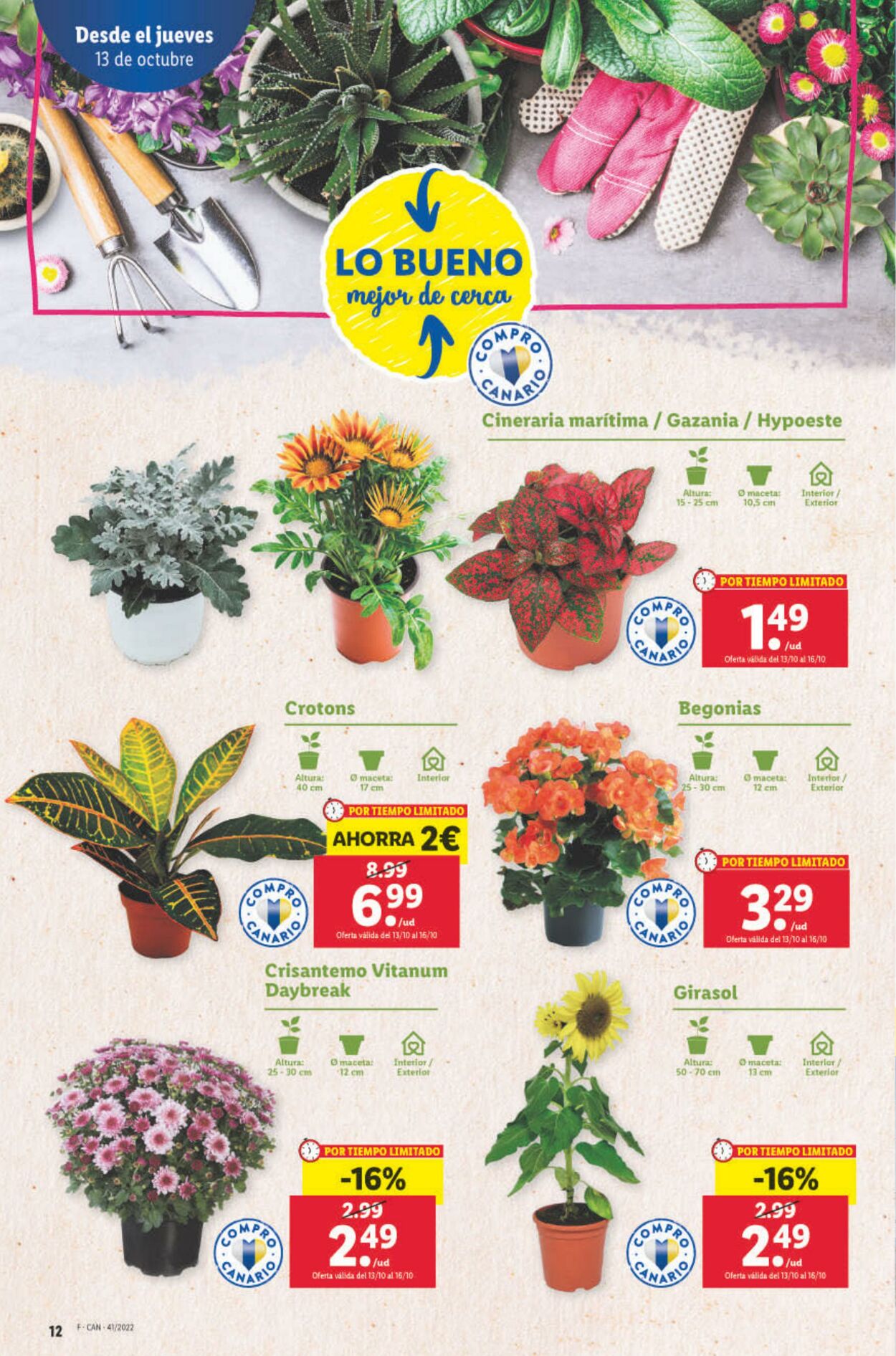 Folleto Lidl 13.10.2022 - 19.10.2022