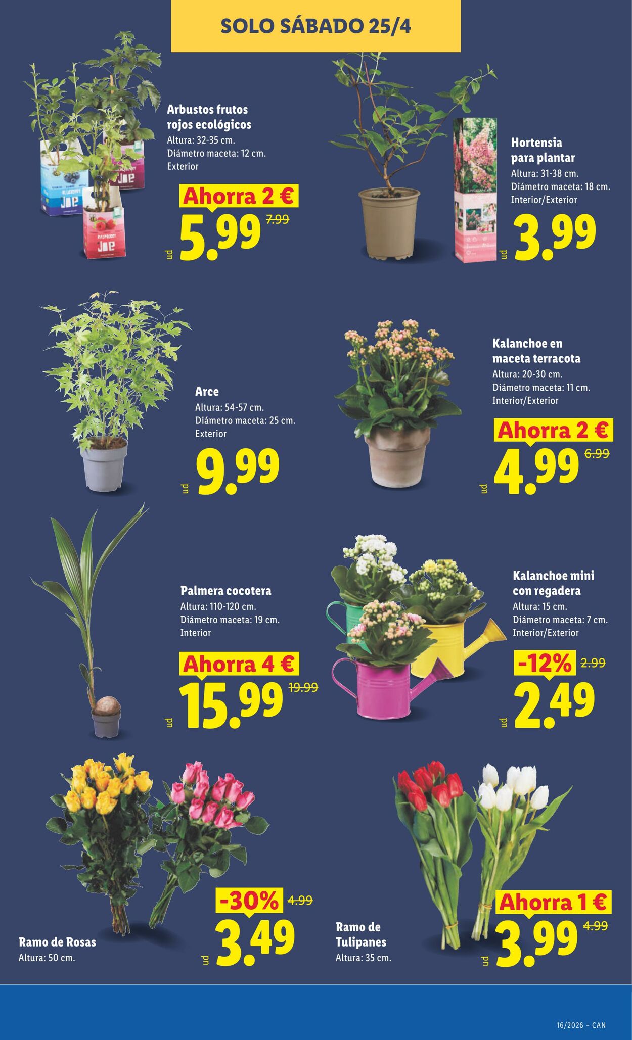 Folleto Lidl 13.04.2026 - 19.04.2026