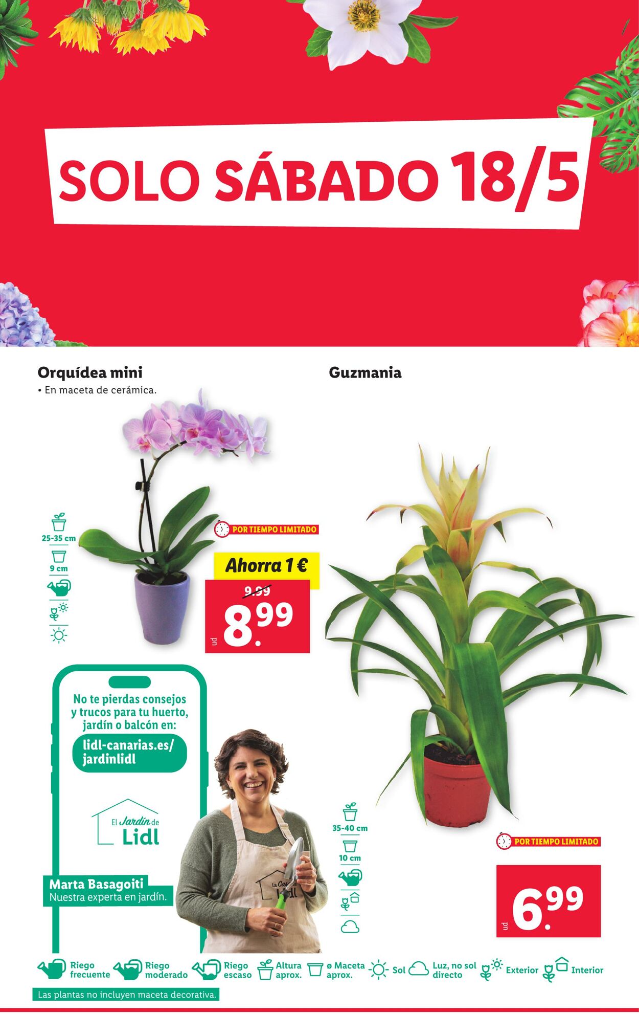 Folleto Lidl 13.05.2024 - 19.05.2024