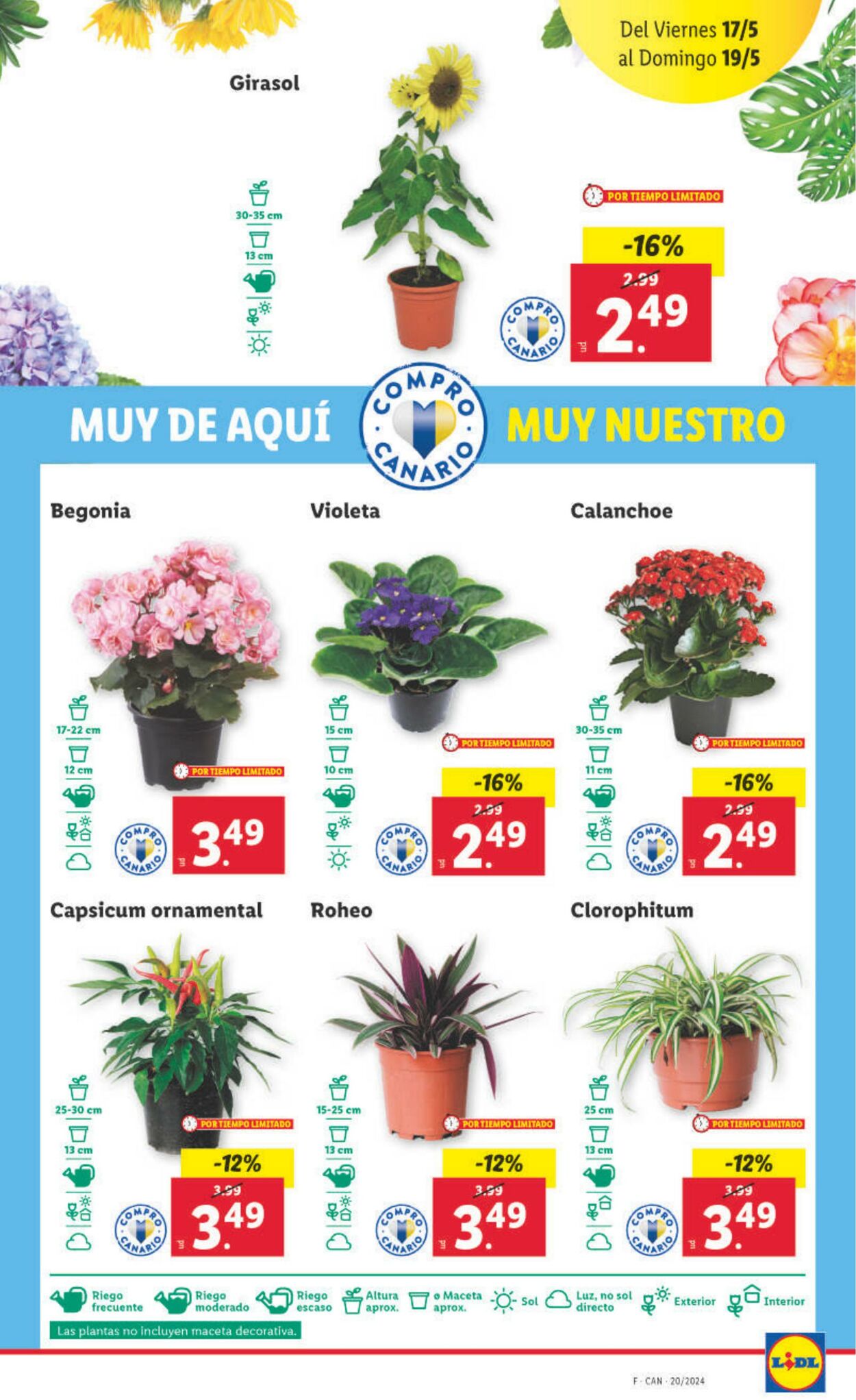 Folleto Lidl 13.05.2024 - 19.05.2024