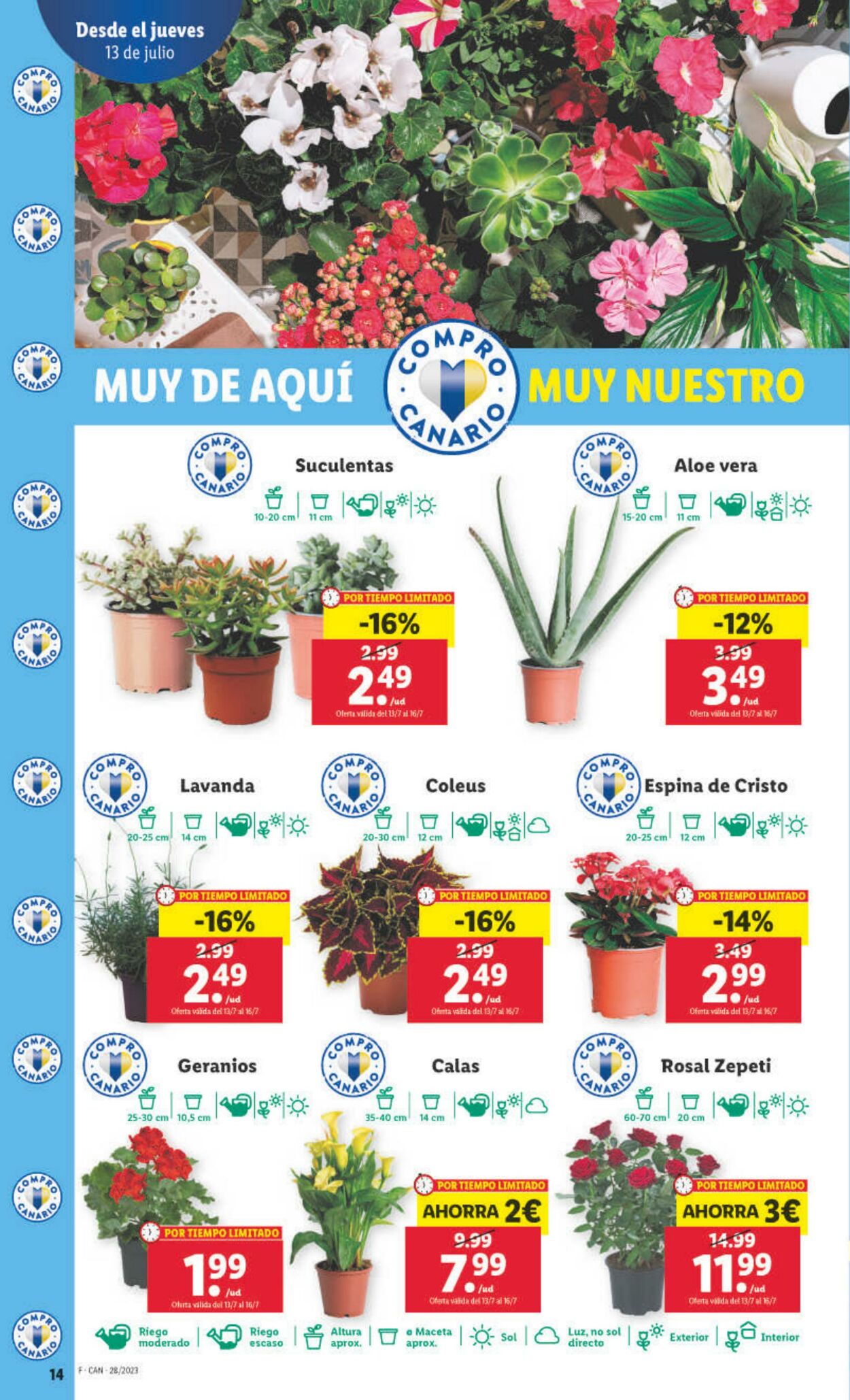 Folleto Lidl 13.07.2023 - 19.07.2023