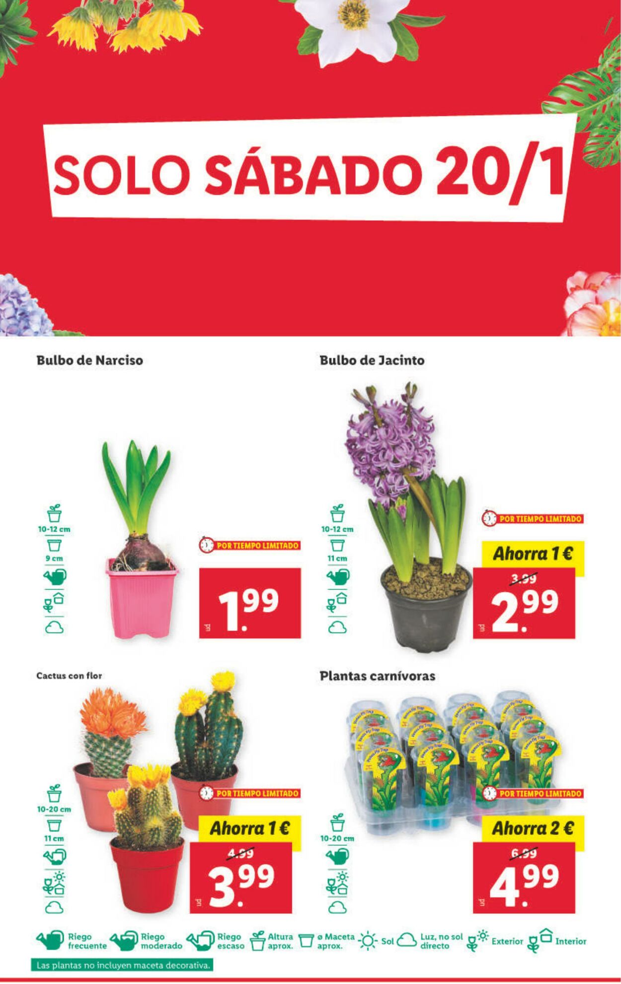 Folleto Lidl 15.01.2024 - 21.01.2024