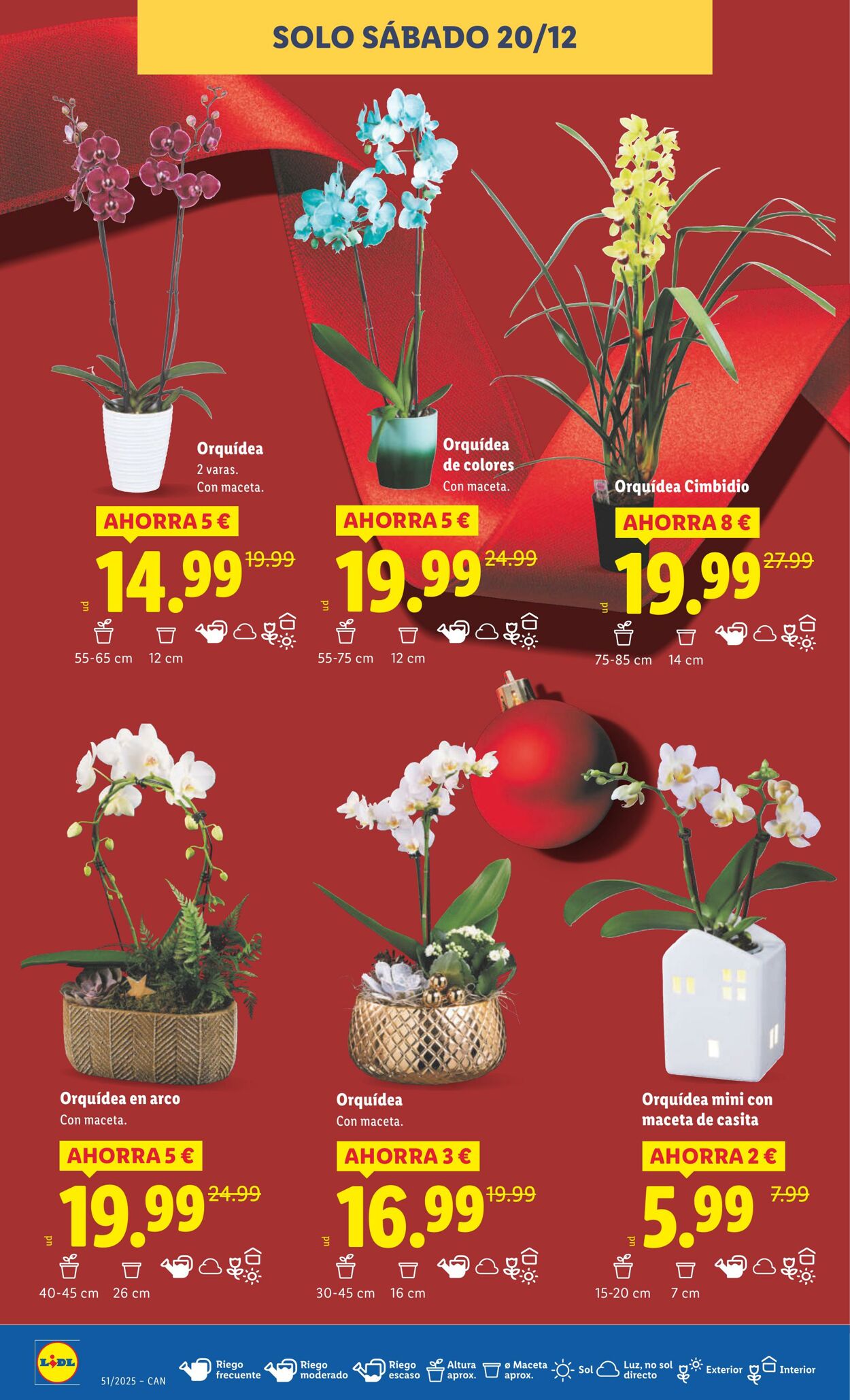 Folleto Lidl 15.12.2025 - 21.12.2025