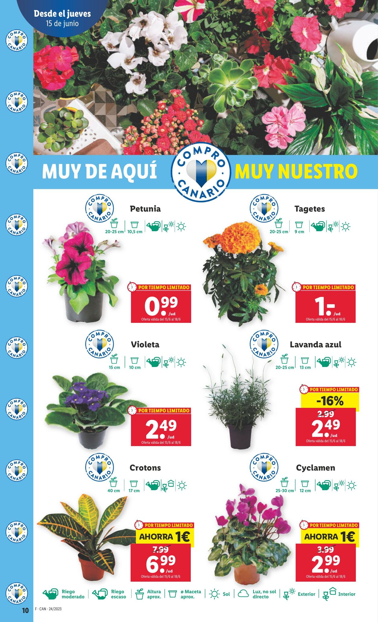 Folleto Lidl 15.06.2023 - 21.06.2023