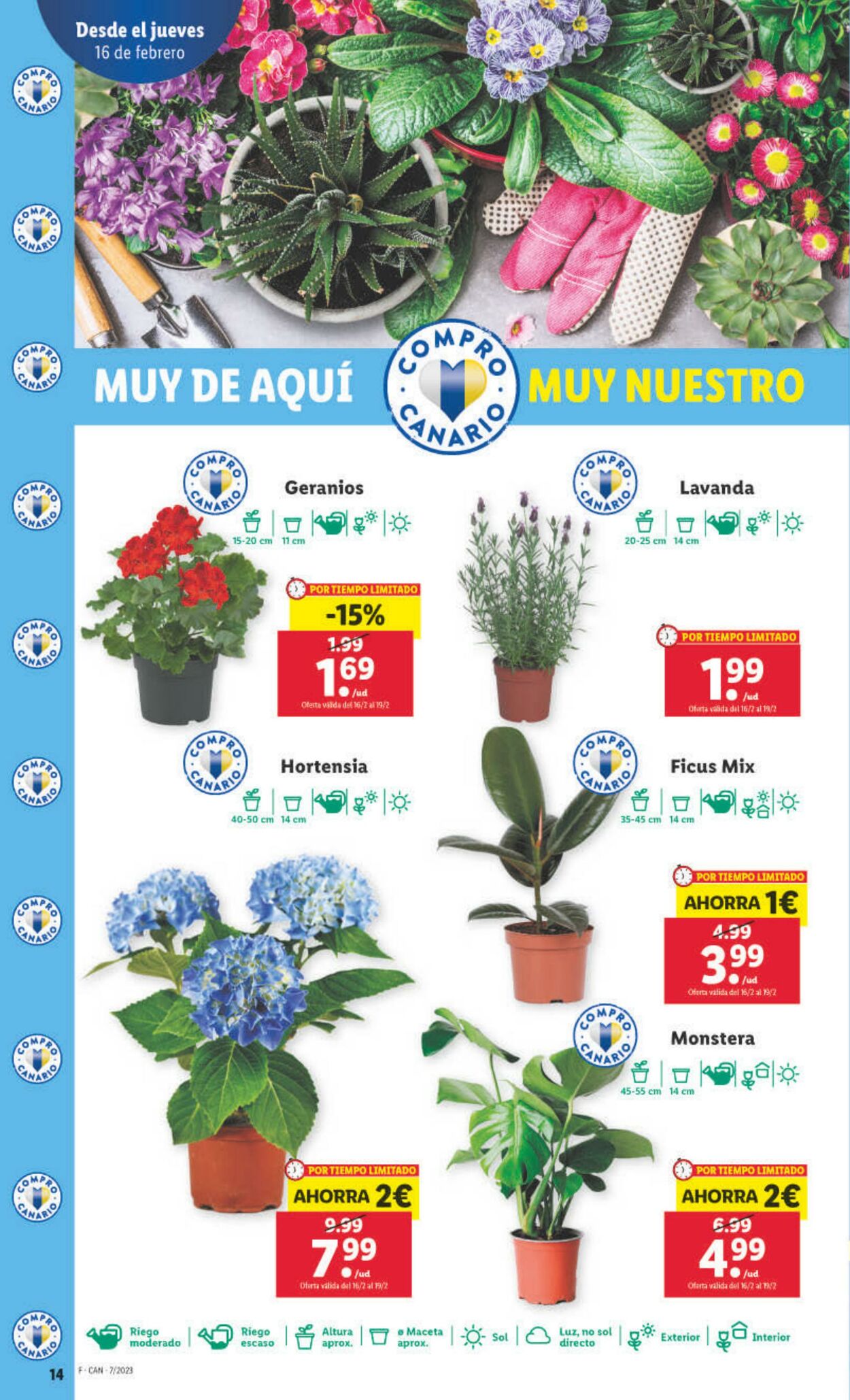 Folleto Lidl 16.02.2023 - 22.02.2023