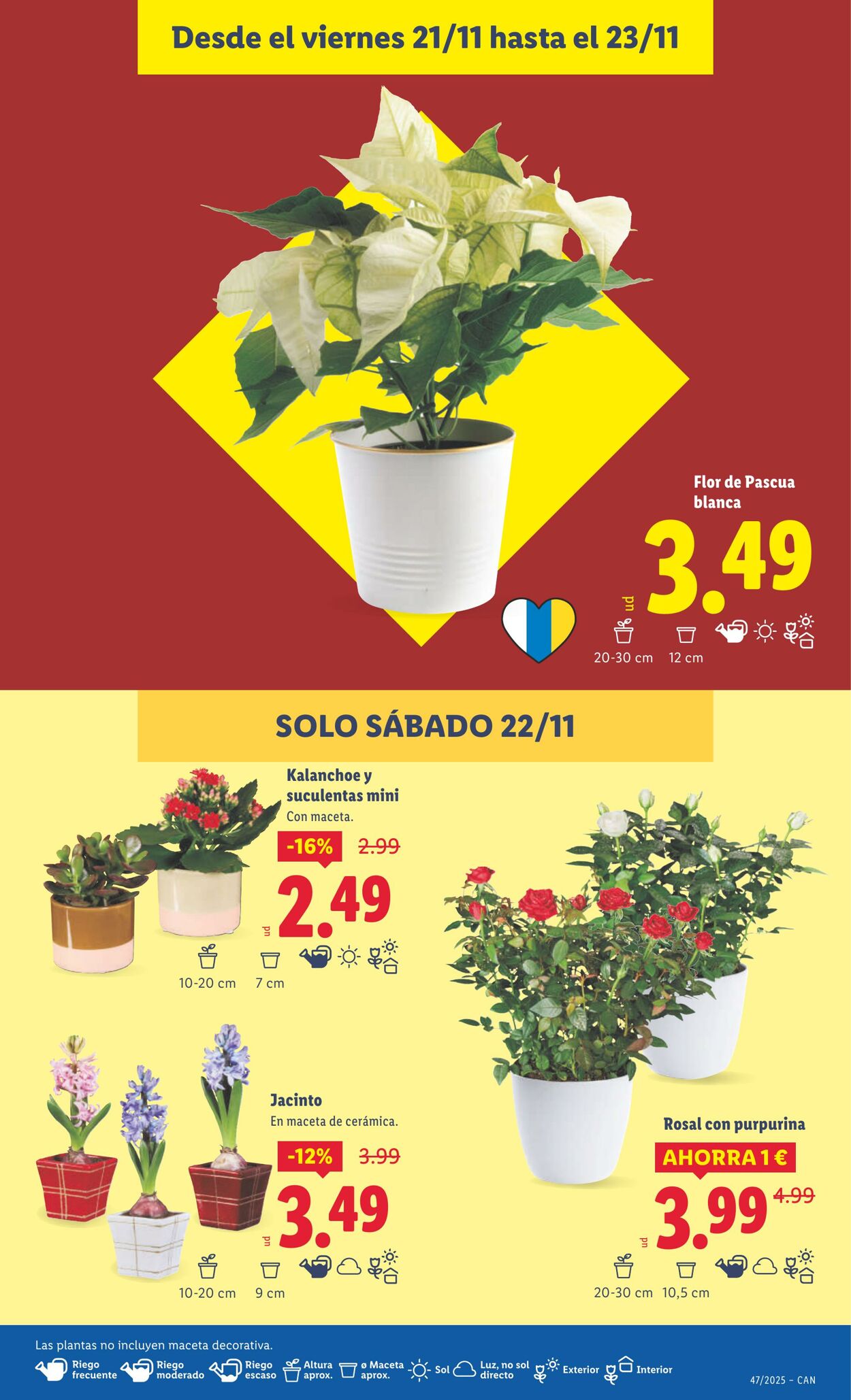 Folleto Lidl 17.11.2025 - 23.11.2025