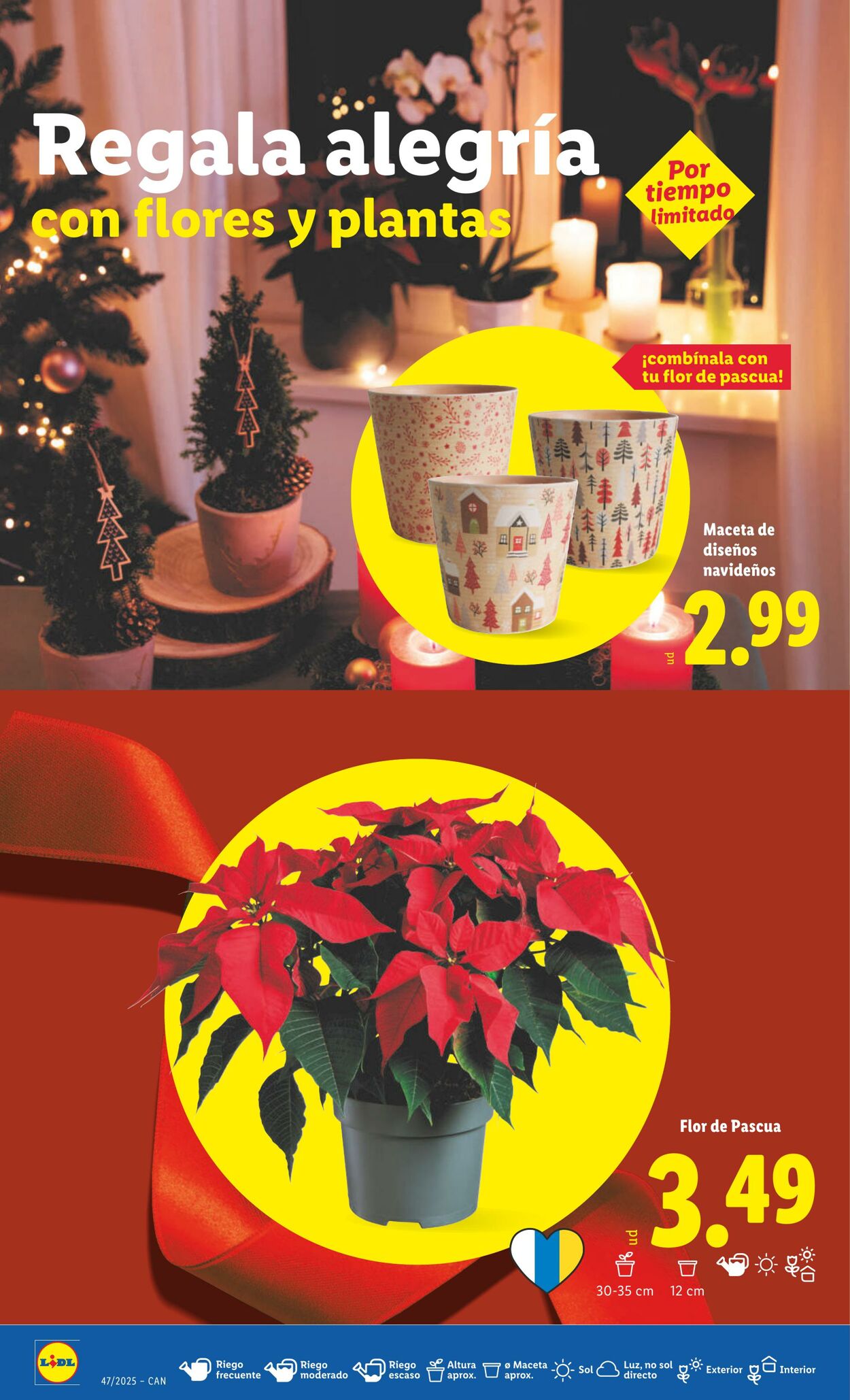 Folleto Lidl 17.11.2025 - 23.11.2025