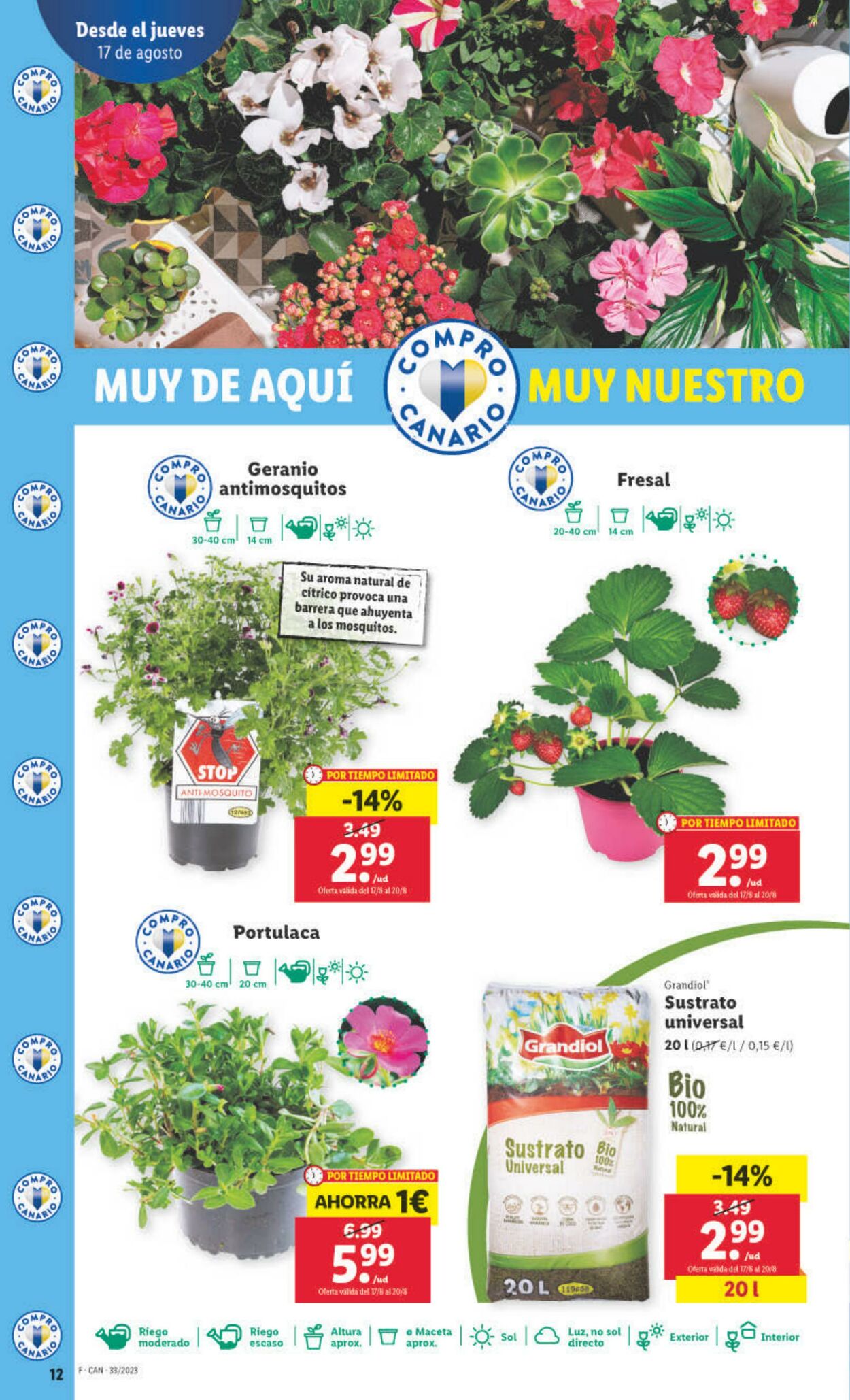 Folleto Lidl 17.08.2023 - 23.08.2023