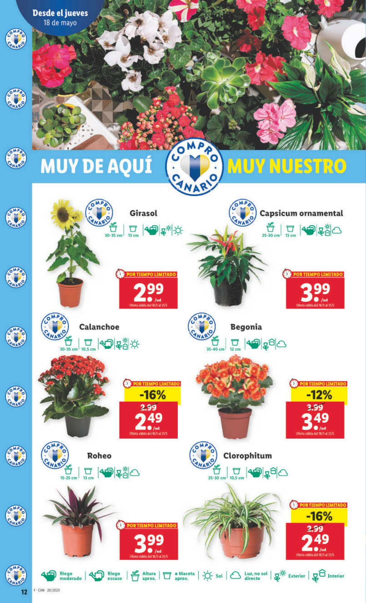 Folleto Lidl 18.05.2023 - 24.05.2023