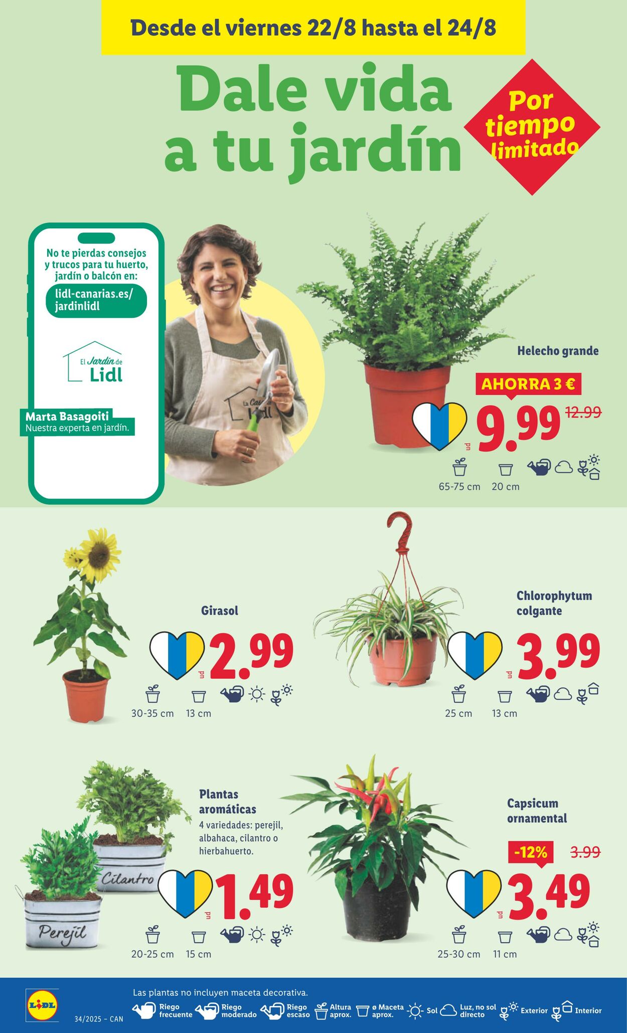 Folleto Lidl 18.08.2025 - 24.08.2025